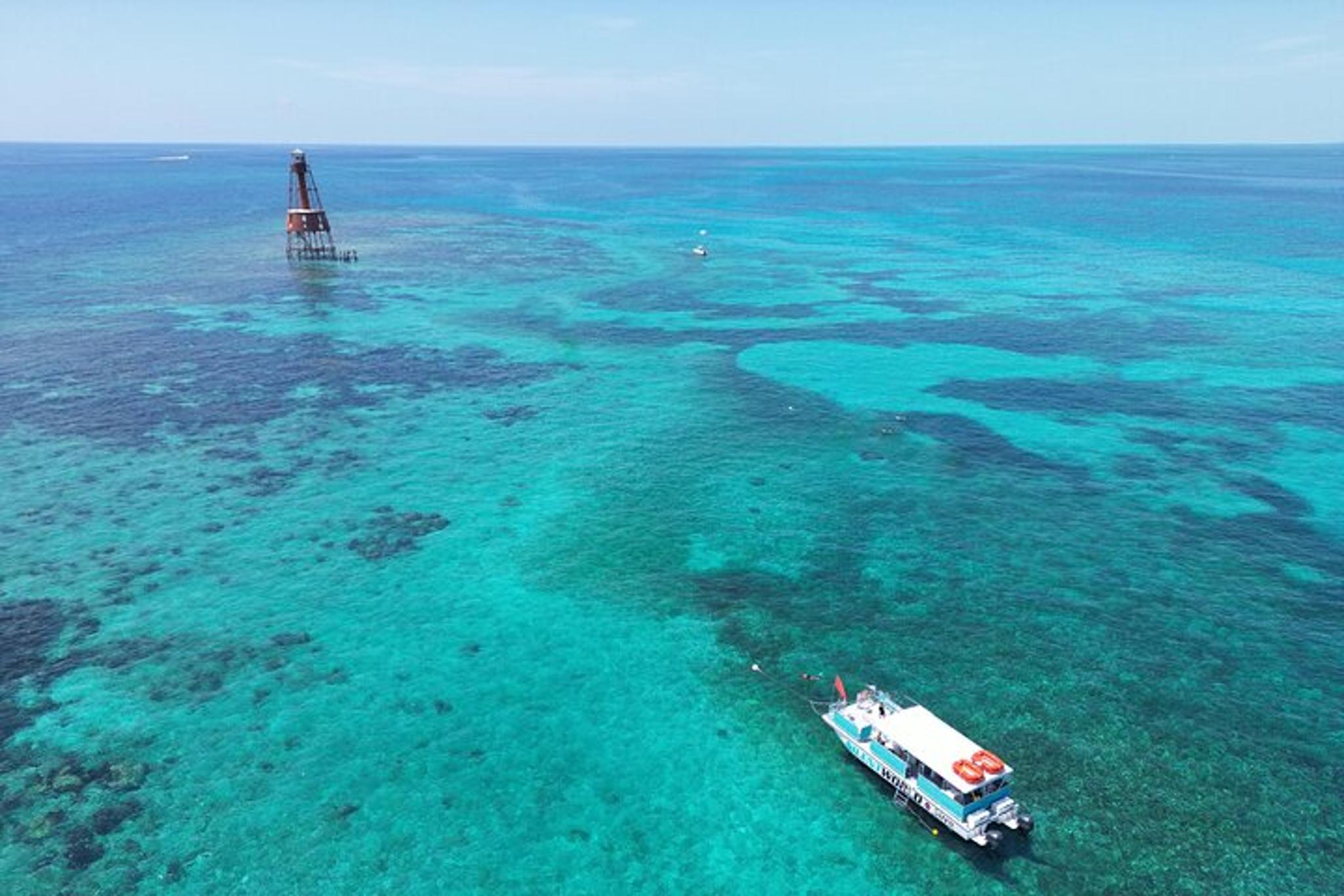 Key Largo Snorkeling Tour at Carysfort Lighthouse - Image 2