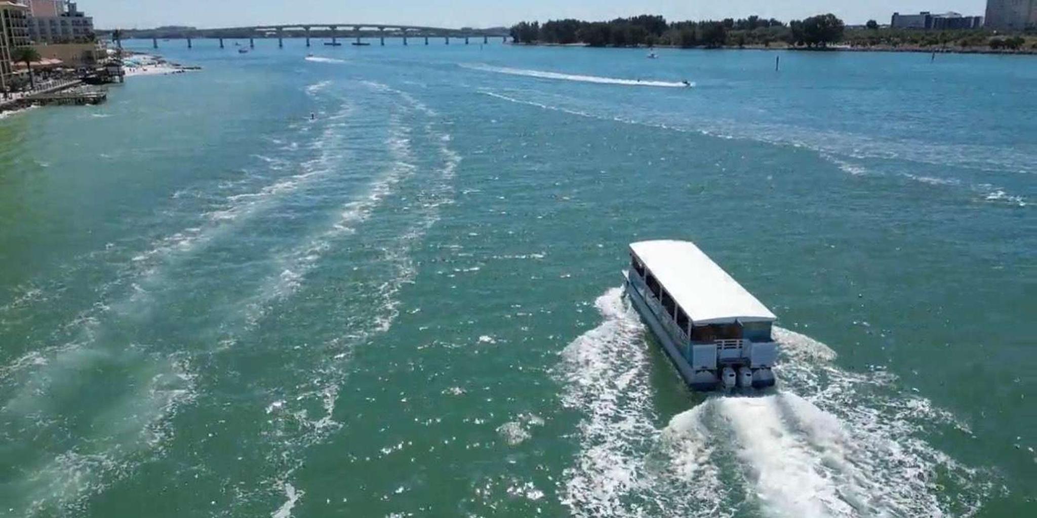 Clearwater Beach Dolphin and Island Sandbar Cruise - Image 6