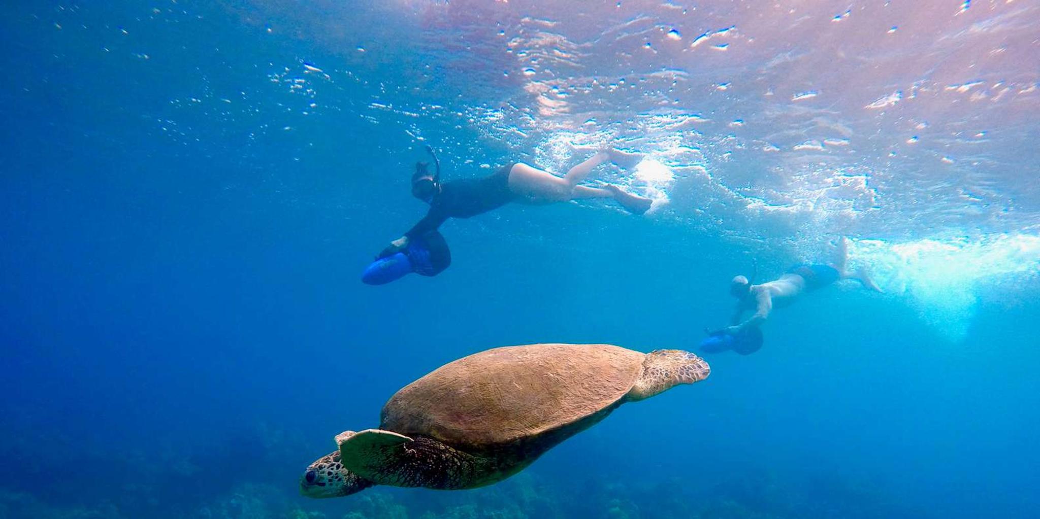 Wailea Beach Sea Scooter Snorkeling Tour - Image 2