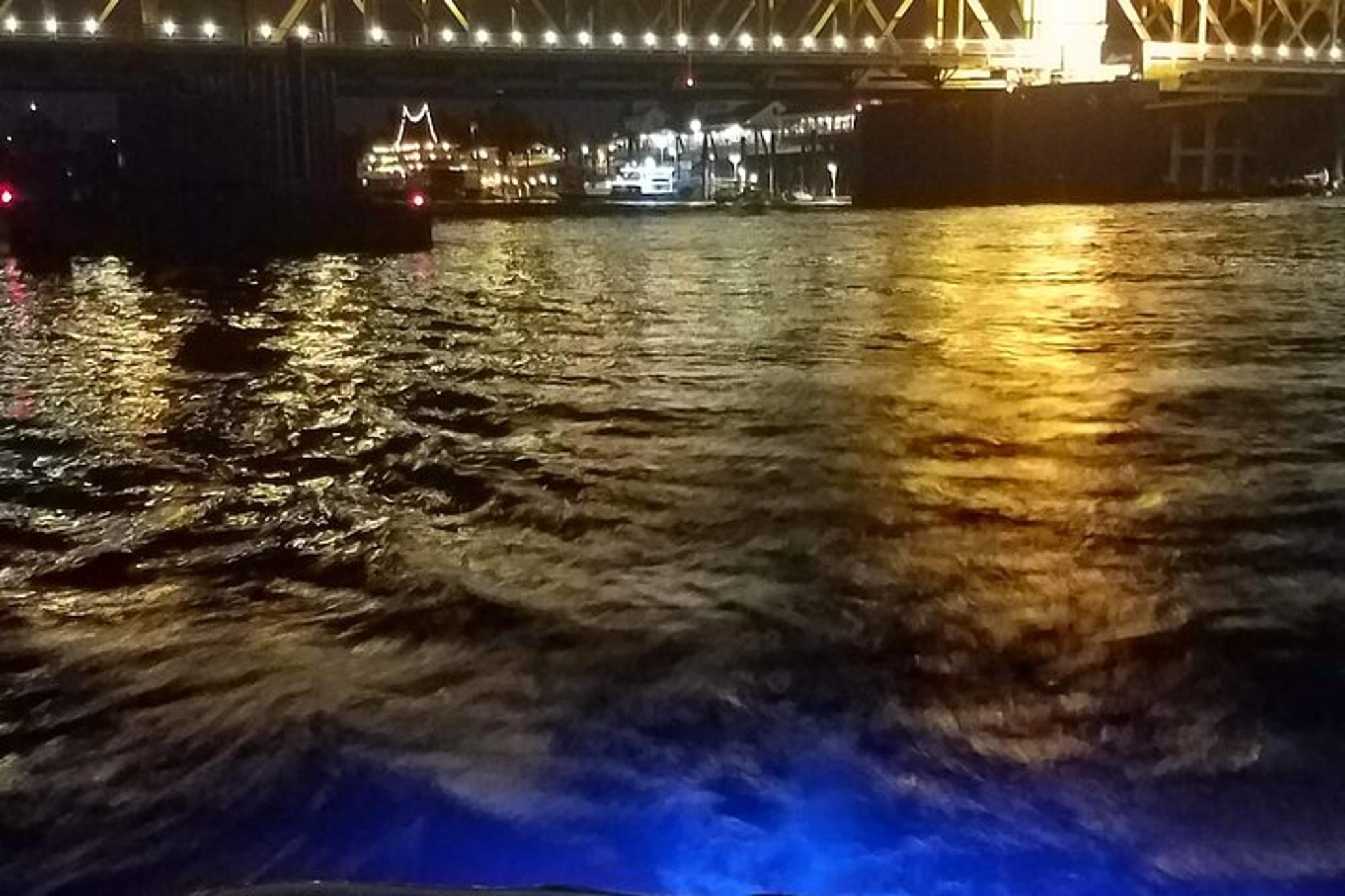Sacramento Private Concert Cruise - Image 2