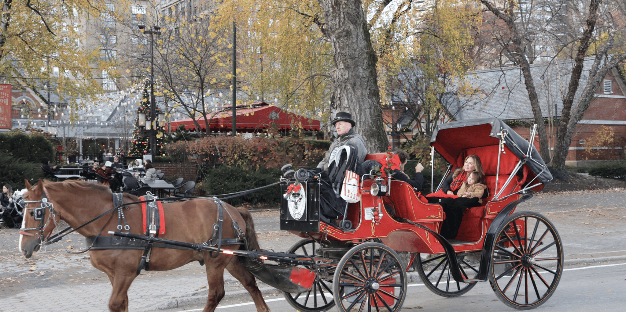 New York City Central Park Horse Carriage Ride 55 min