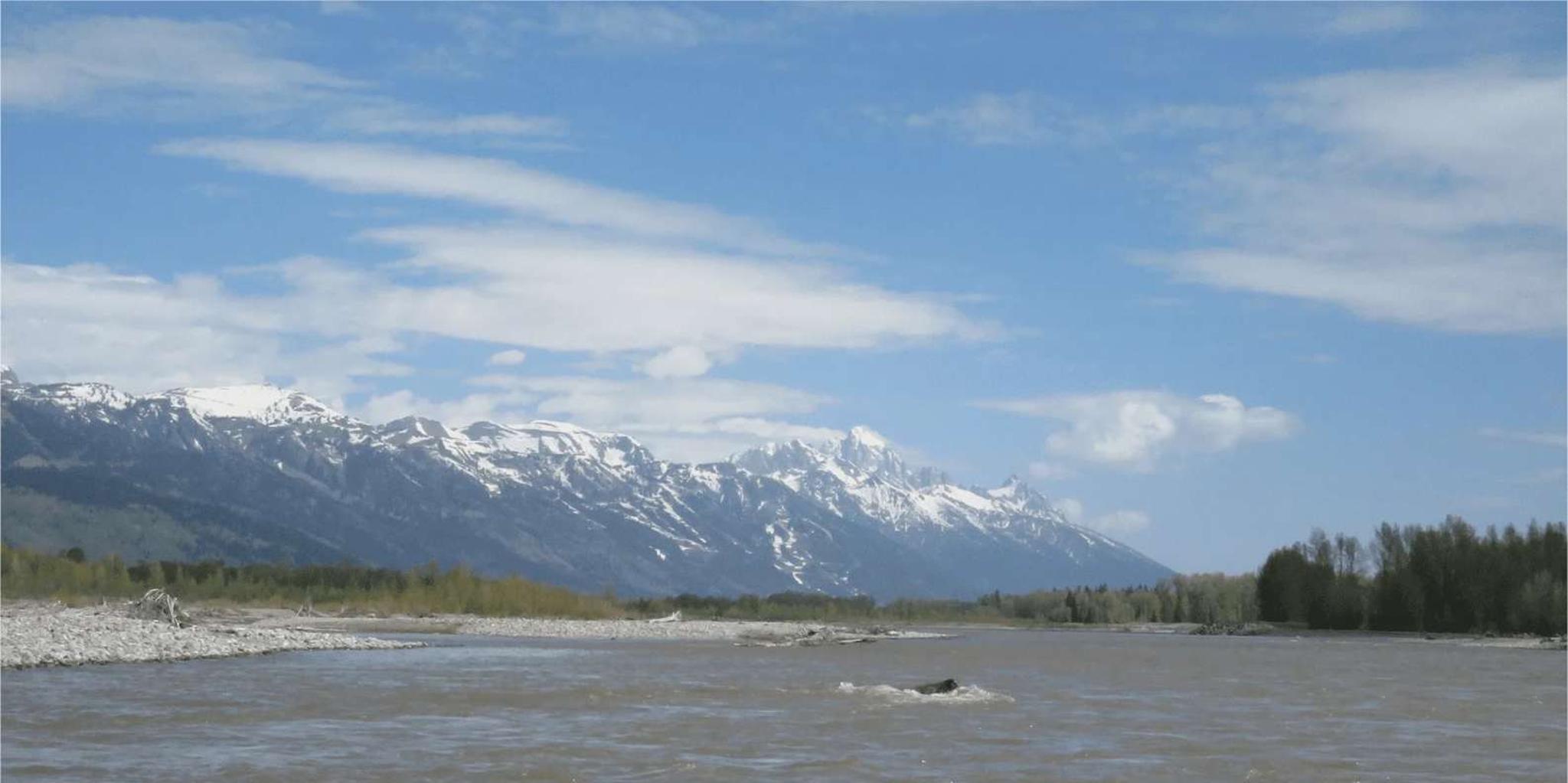 Jackson Hole Snake River Float with Teton Views - Image 5