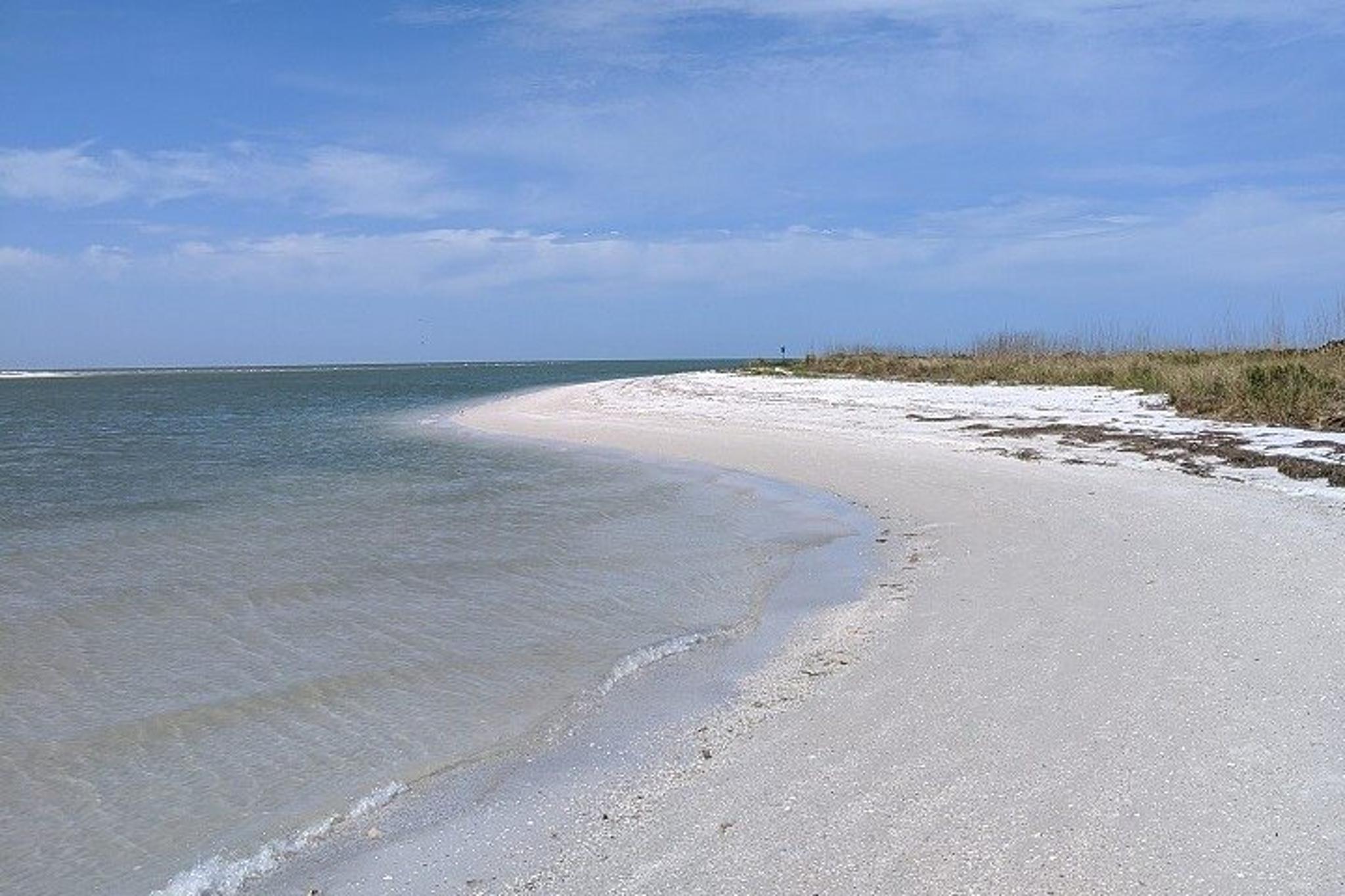John's Pass Shell Key Preserve Cruise - Image 4