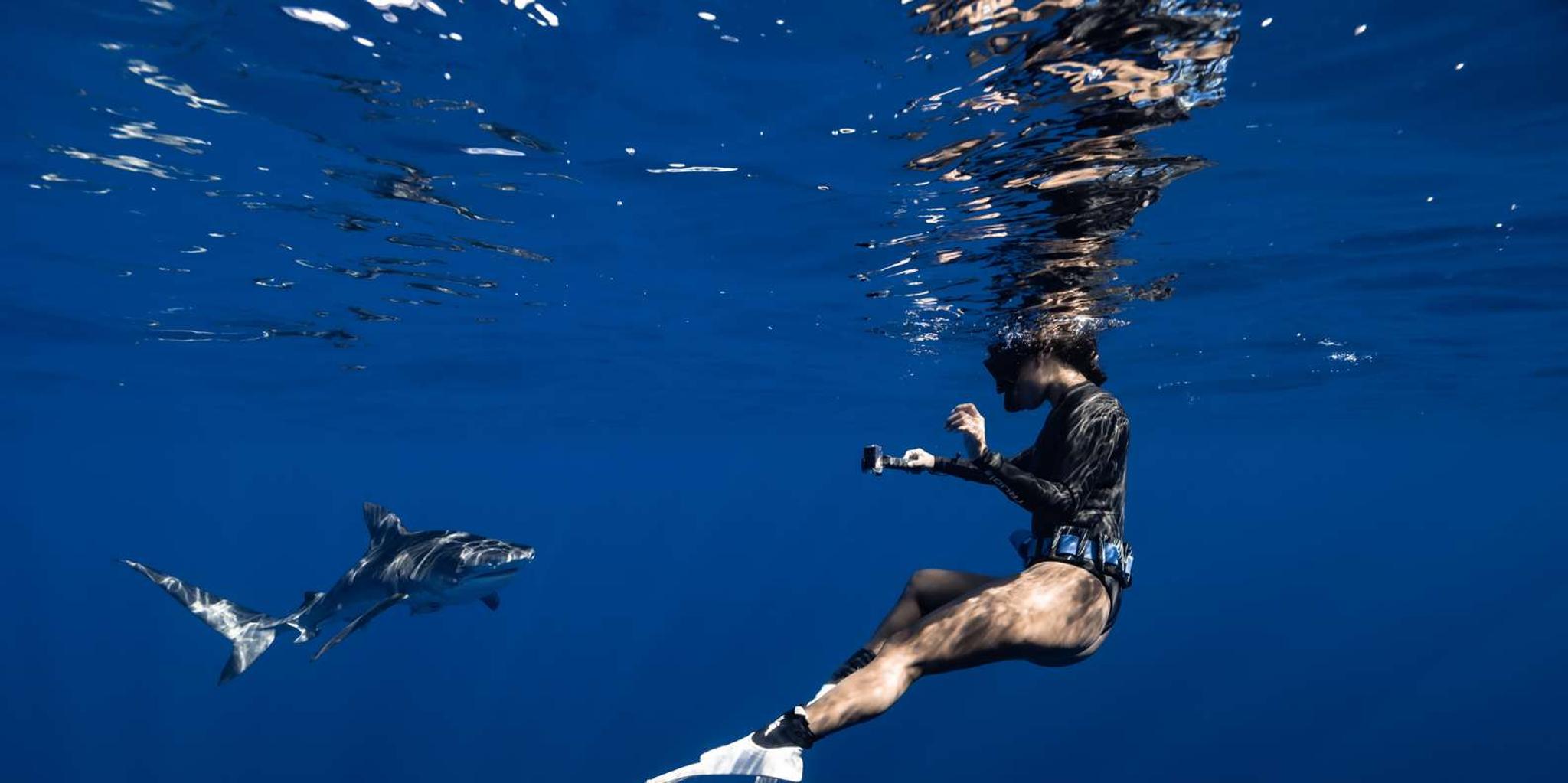 Kona Ocean Safari with Underwater Videos 4 hr - Image 3