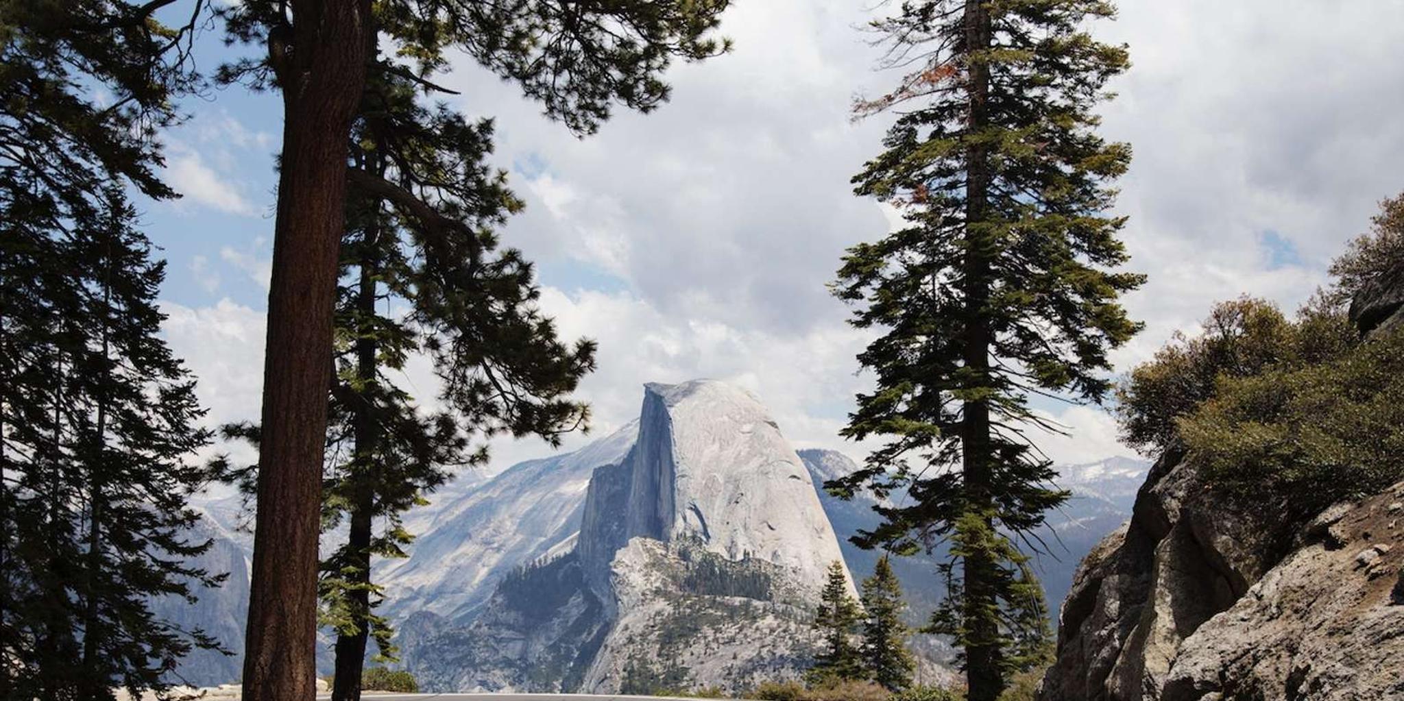 San Francisco Yosemite Park 2-Day Tour