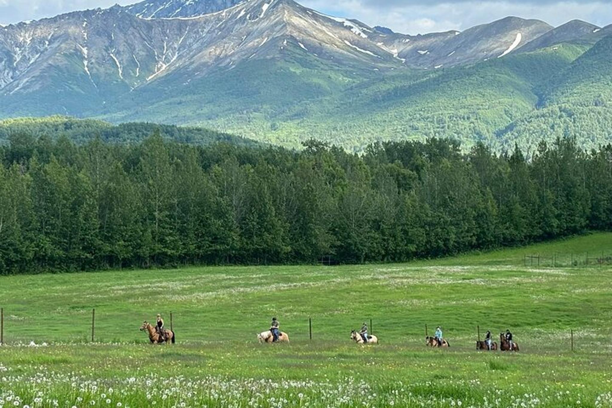 Anchorage Trail Ride and Homestead Tour