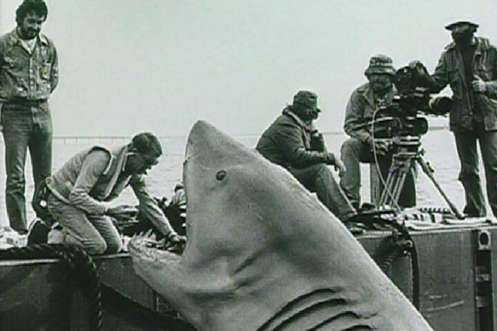 Jaws Movie Tour in Martha's Vineyard 4 hr - Image 6