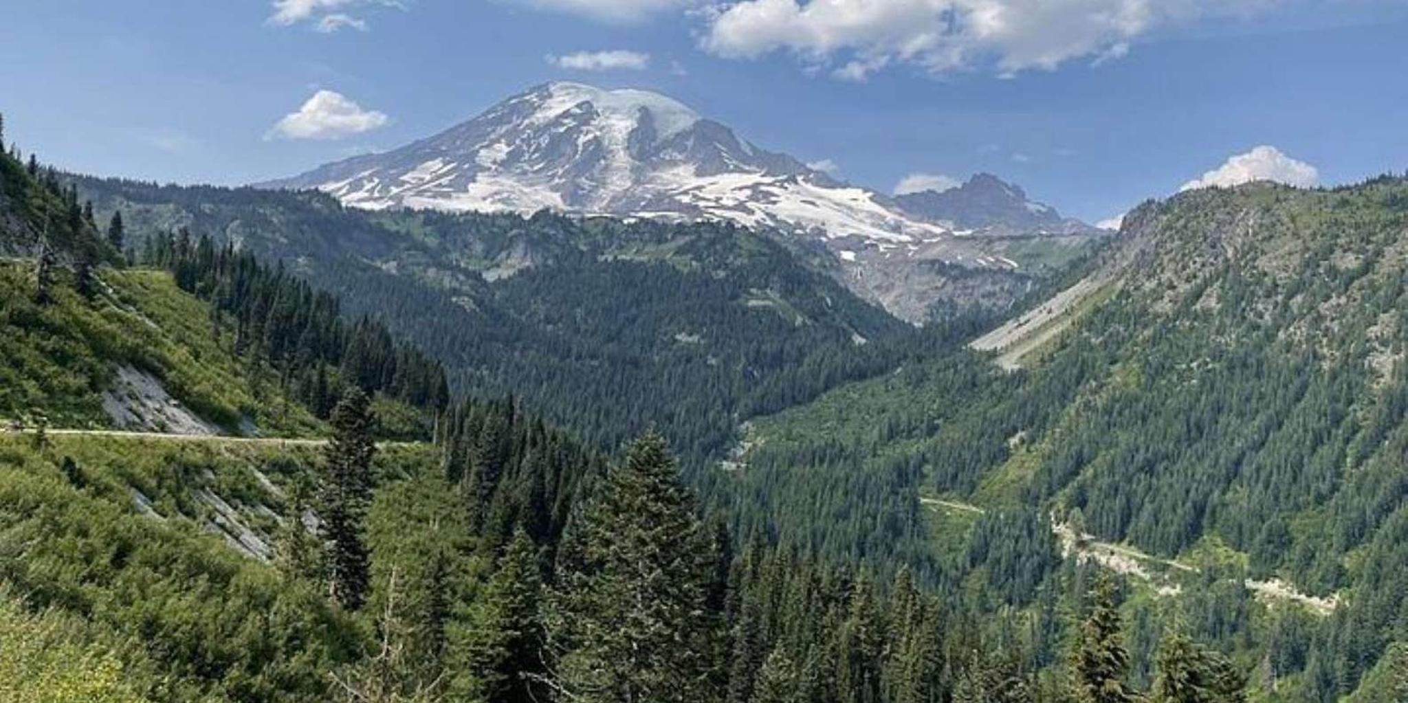 Seattle Olympic National Park Day Tour - Image 3