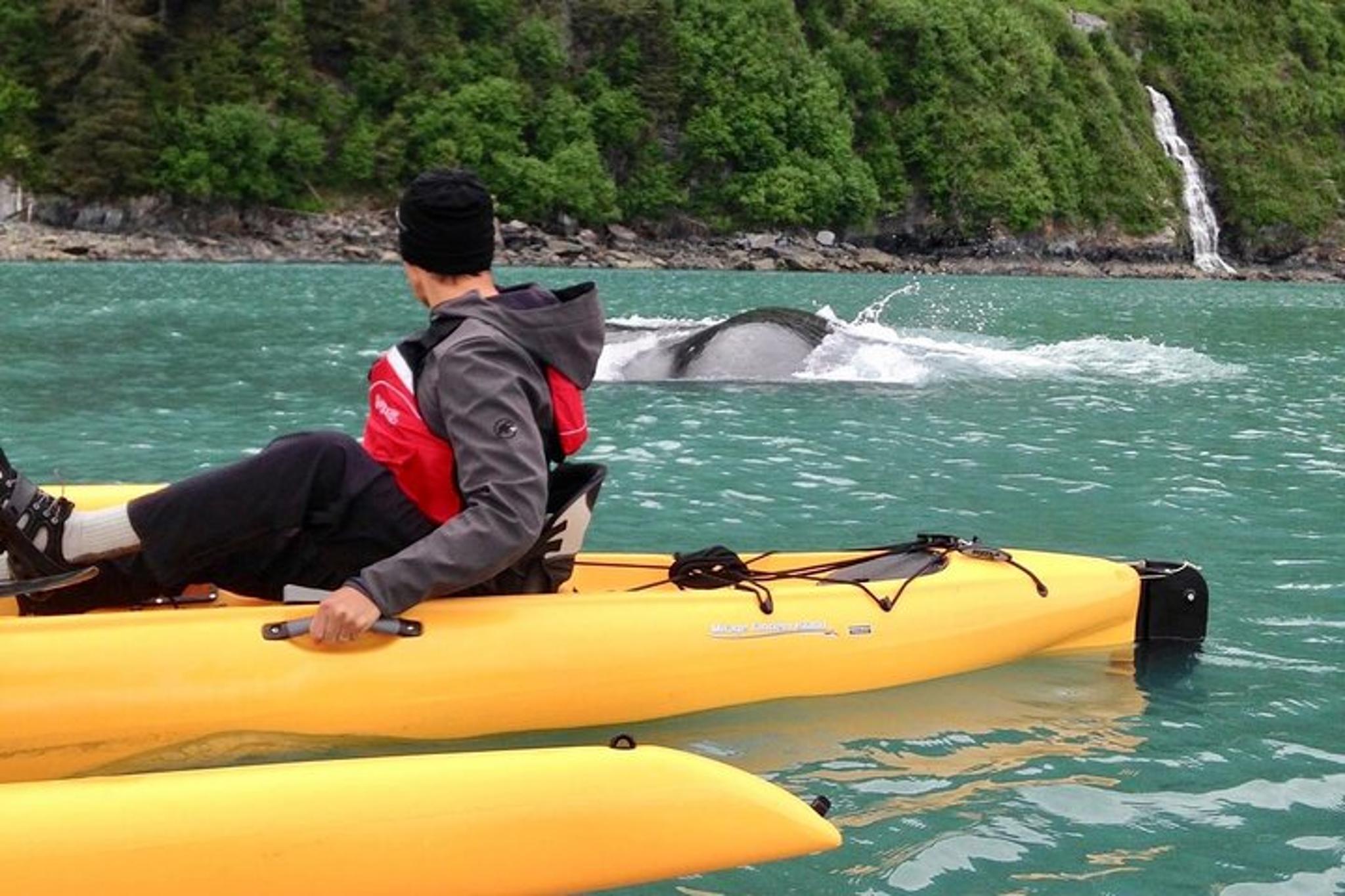 Ketchikan Sailing Tour of Alaska's Inside Passage 4 Days - Image 1