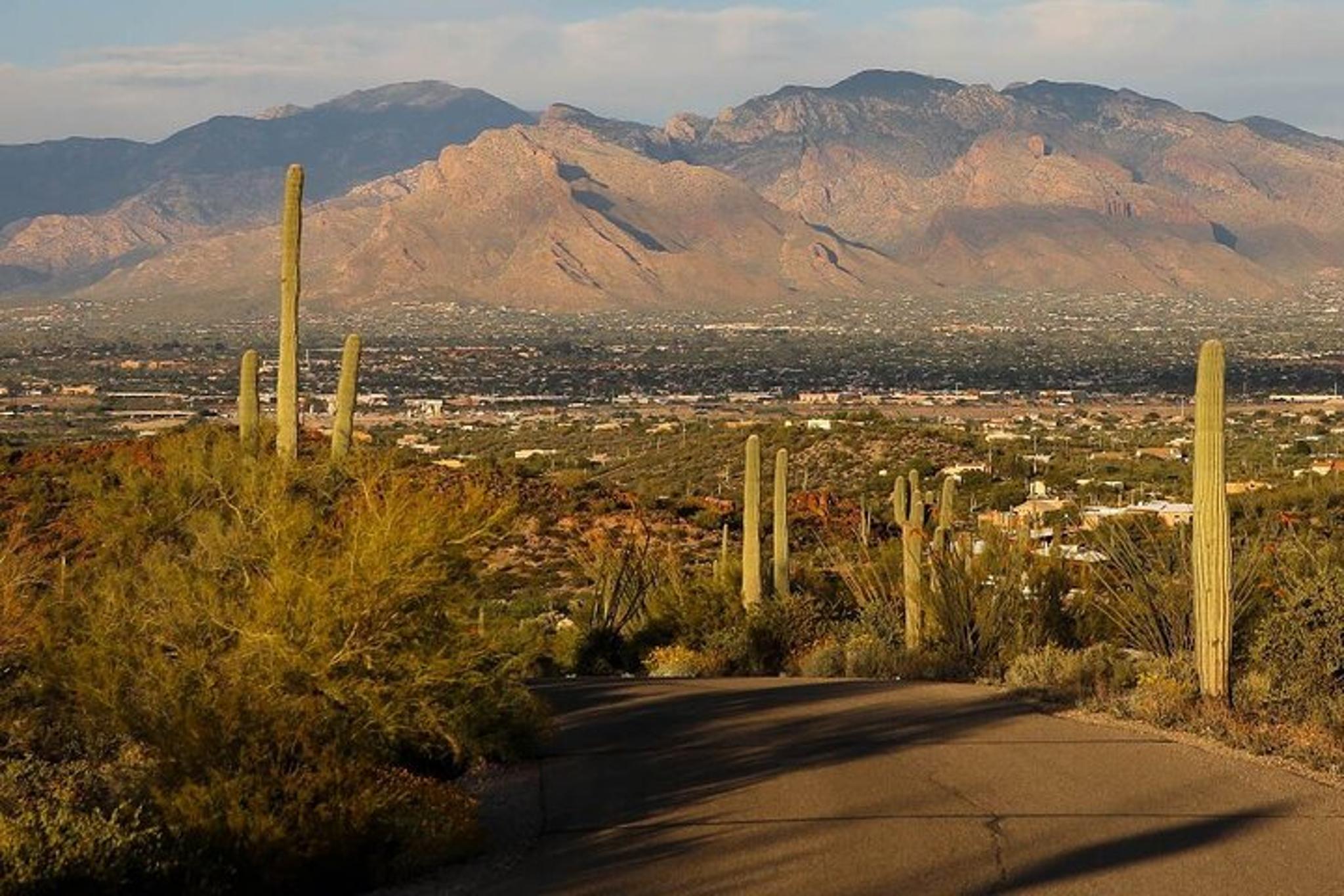 Tucson Self-Guided Driving Audio Tour - Image 4