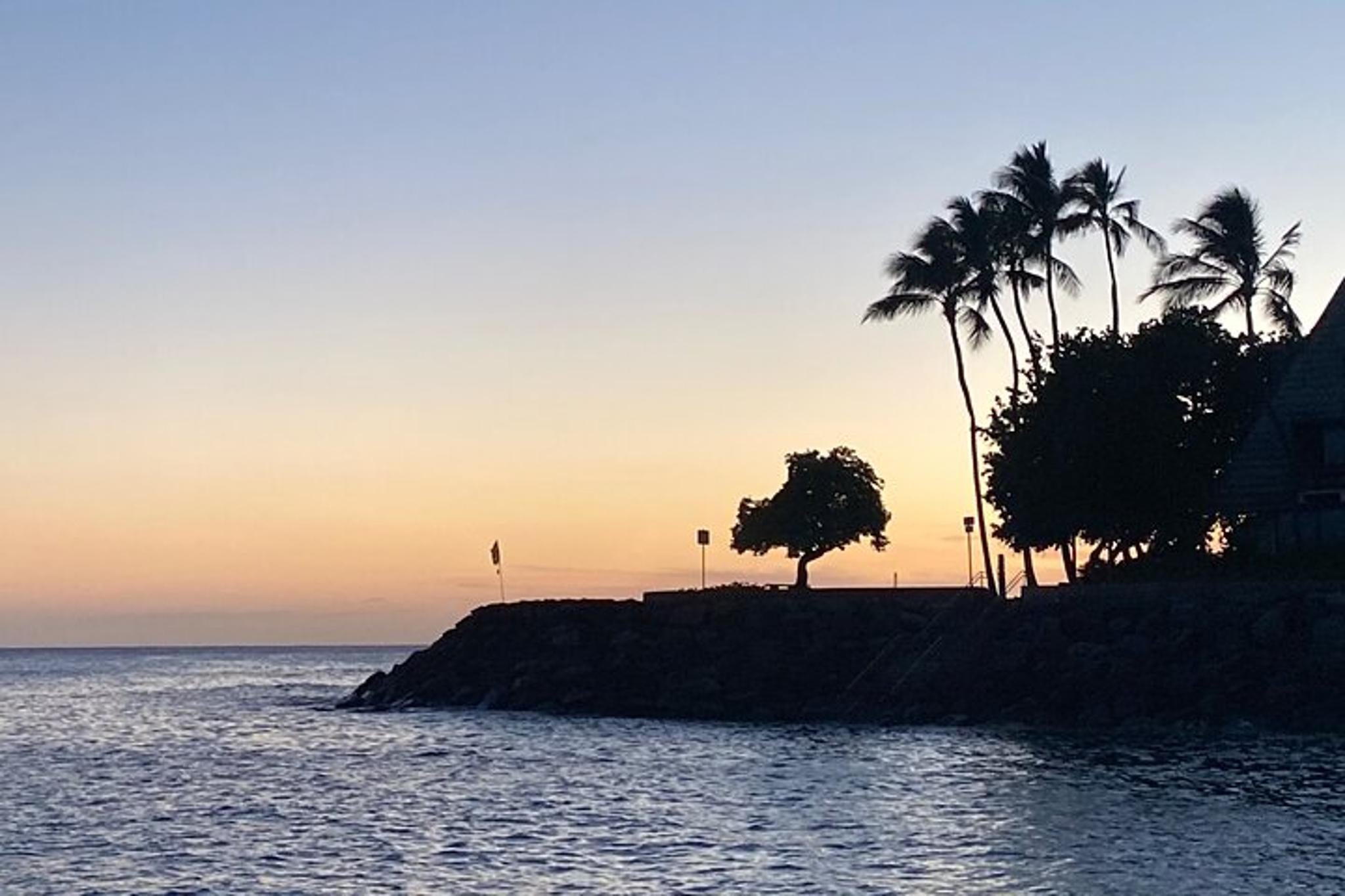 Waikiki Glass Bottom Boat Sunset Cruise - Image 4