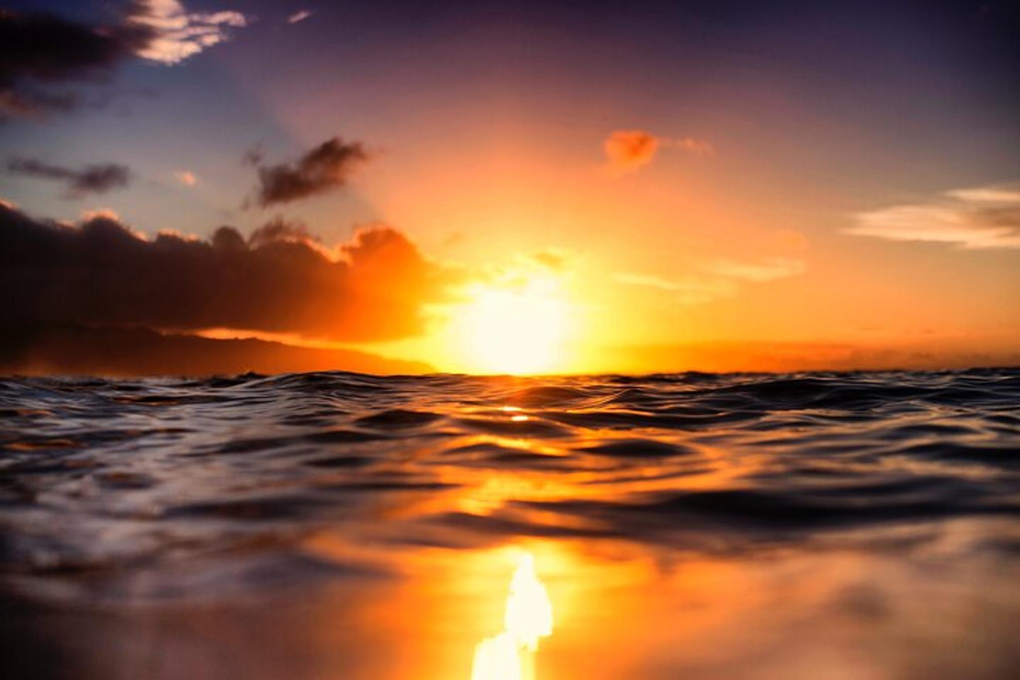 Waikiki Glass Bottom Boat Sunset Cruise - Image 6