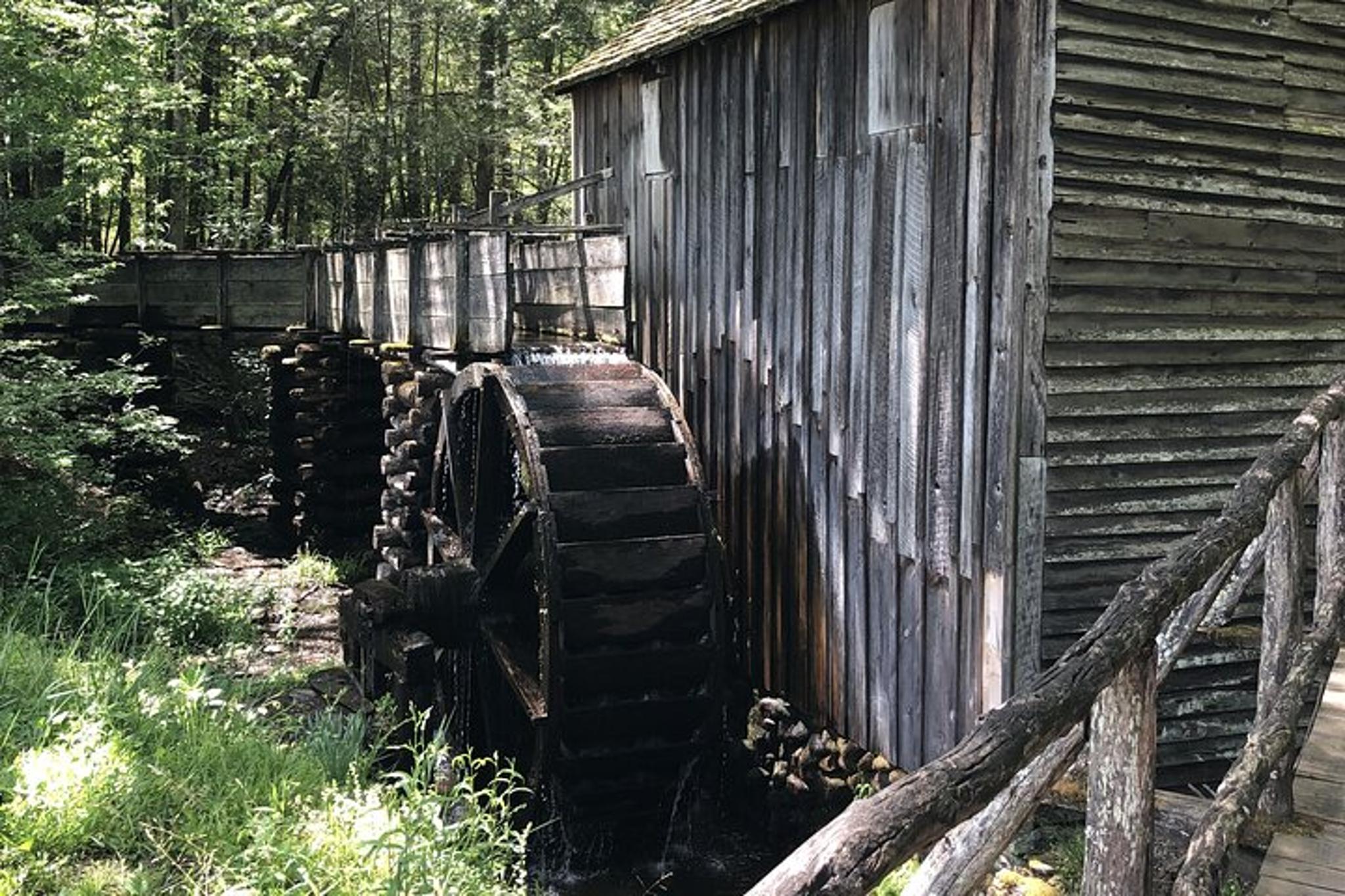 Cades Cove Jeep Tour - Image 2