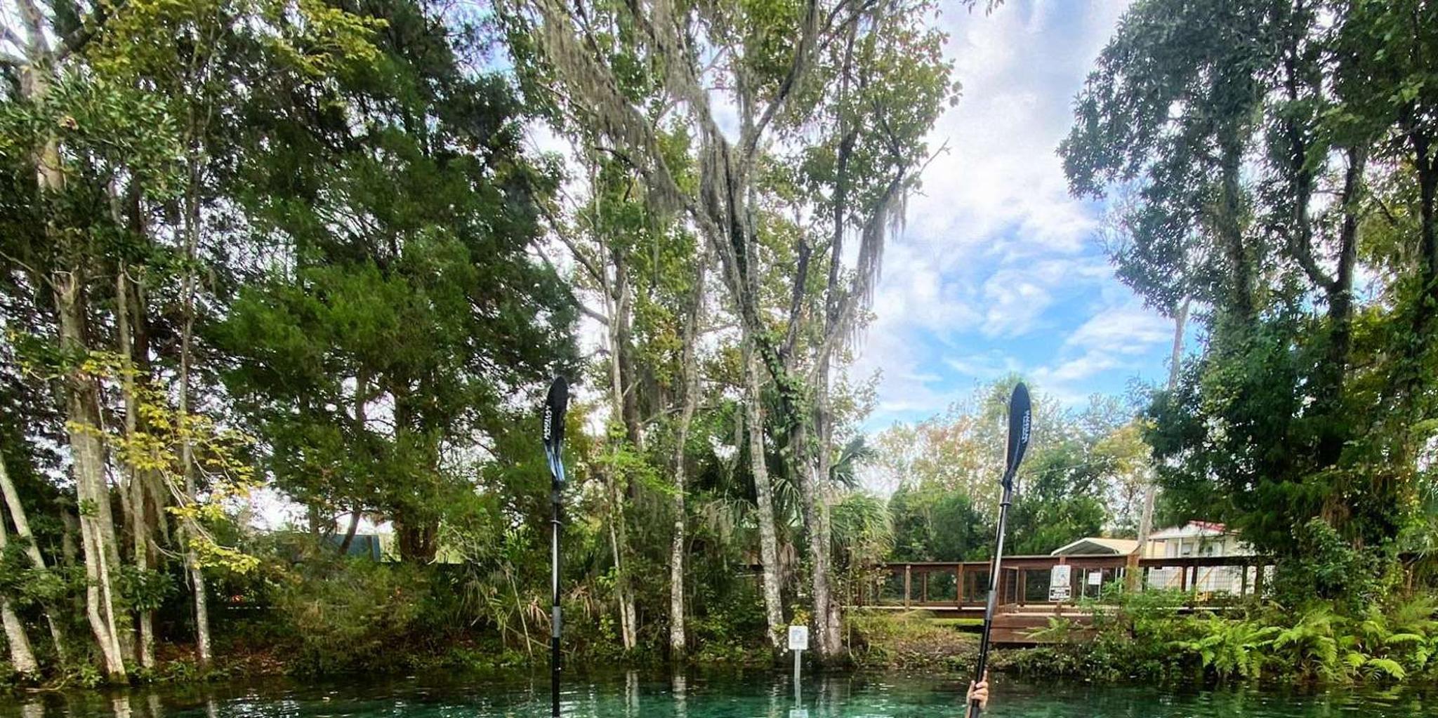 Crystal River Clear Kayak Manatee & Springs Tour 2 hr - Image 3