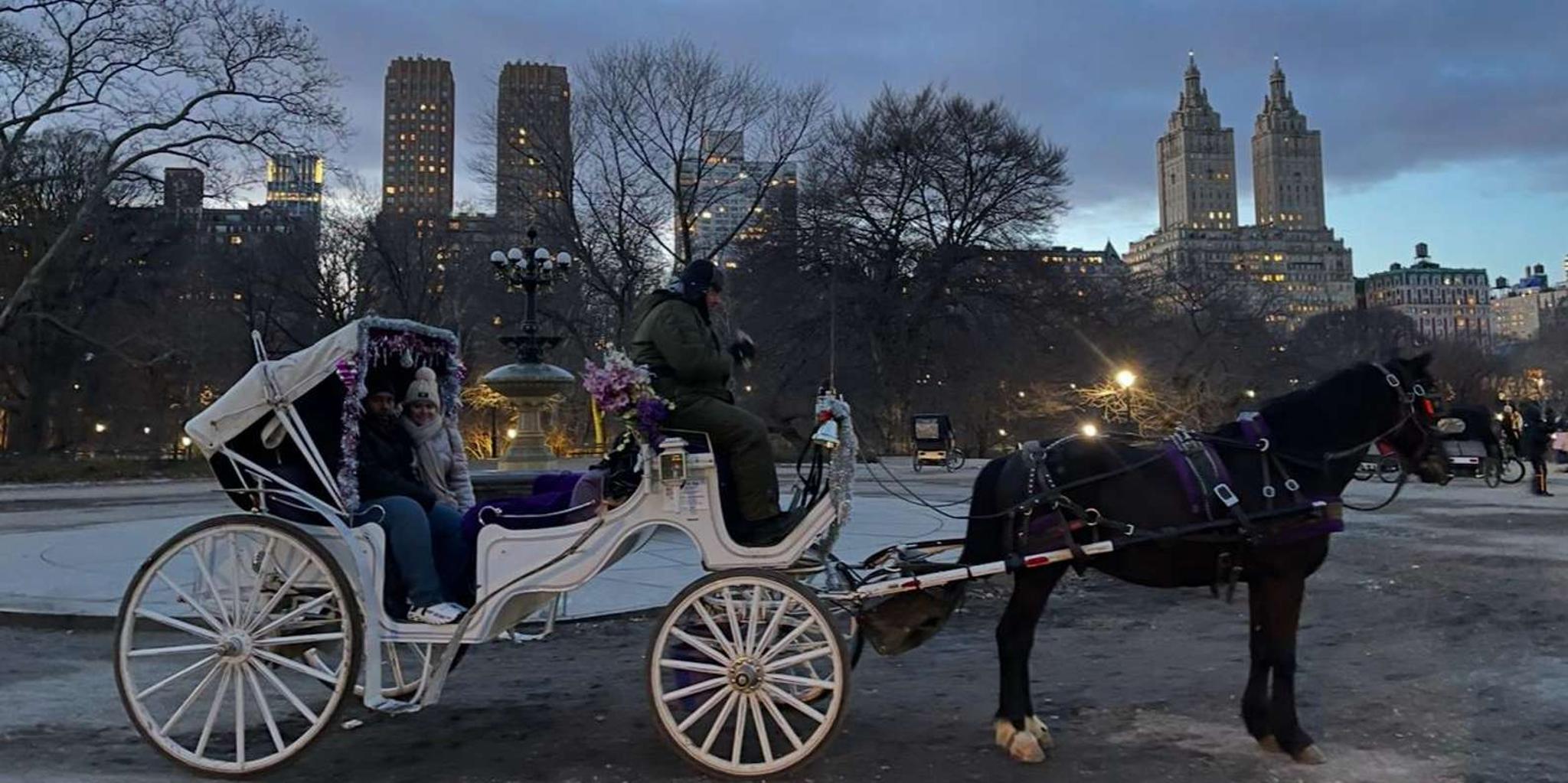 New York Central Park Horse and Carriage Ride - Image 3