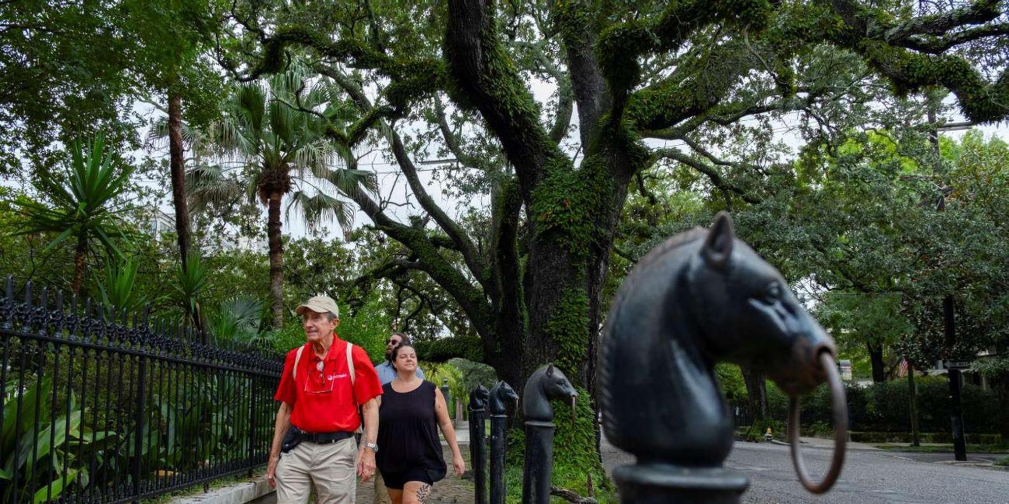 New Orleans Garden District Walking Tour - Image 4