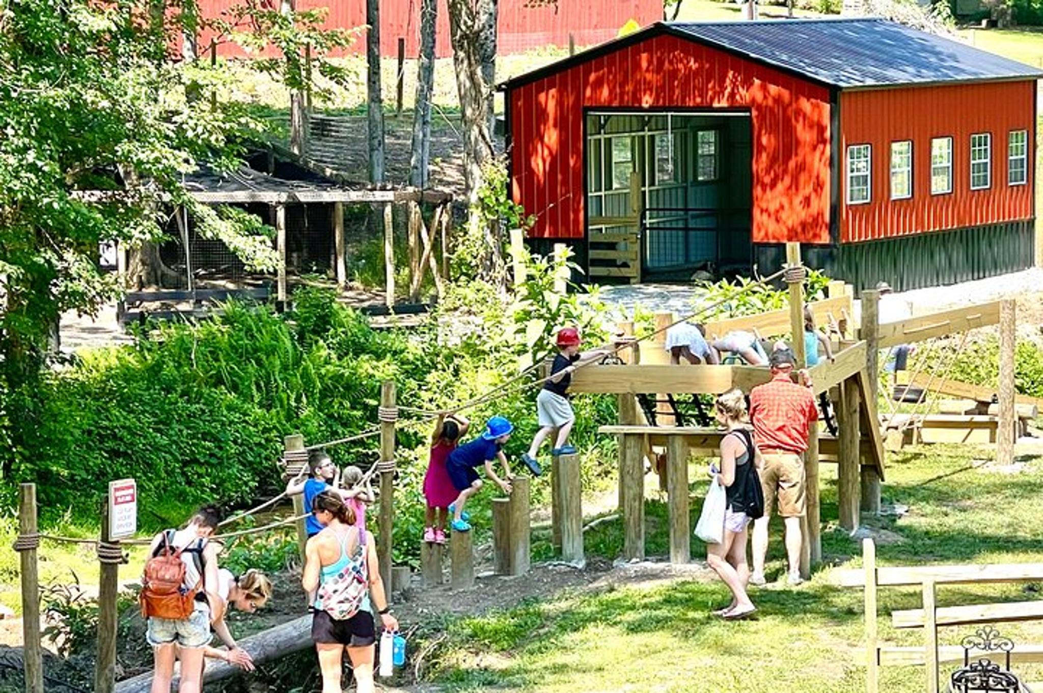Hendersonville Gem Mining and Goat Farm Tour - Image 5