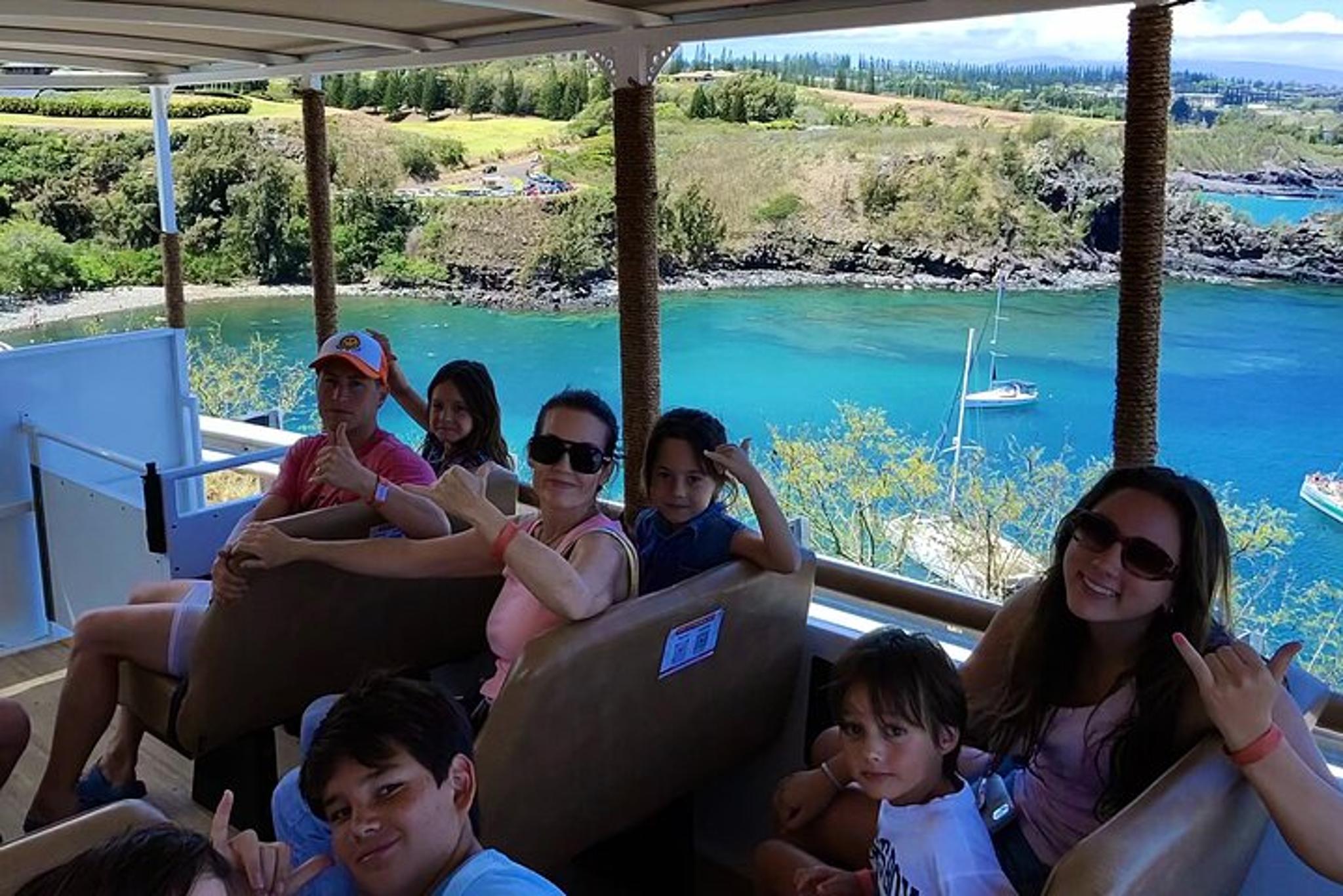 Maui Open-Air Banyan Tree & Blowhole Tour - Image 2