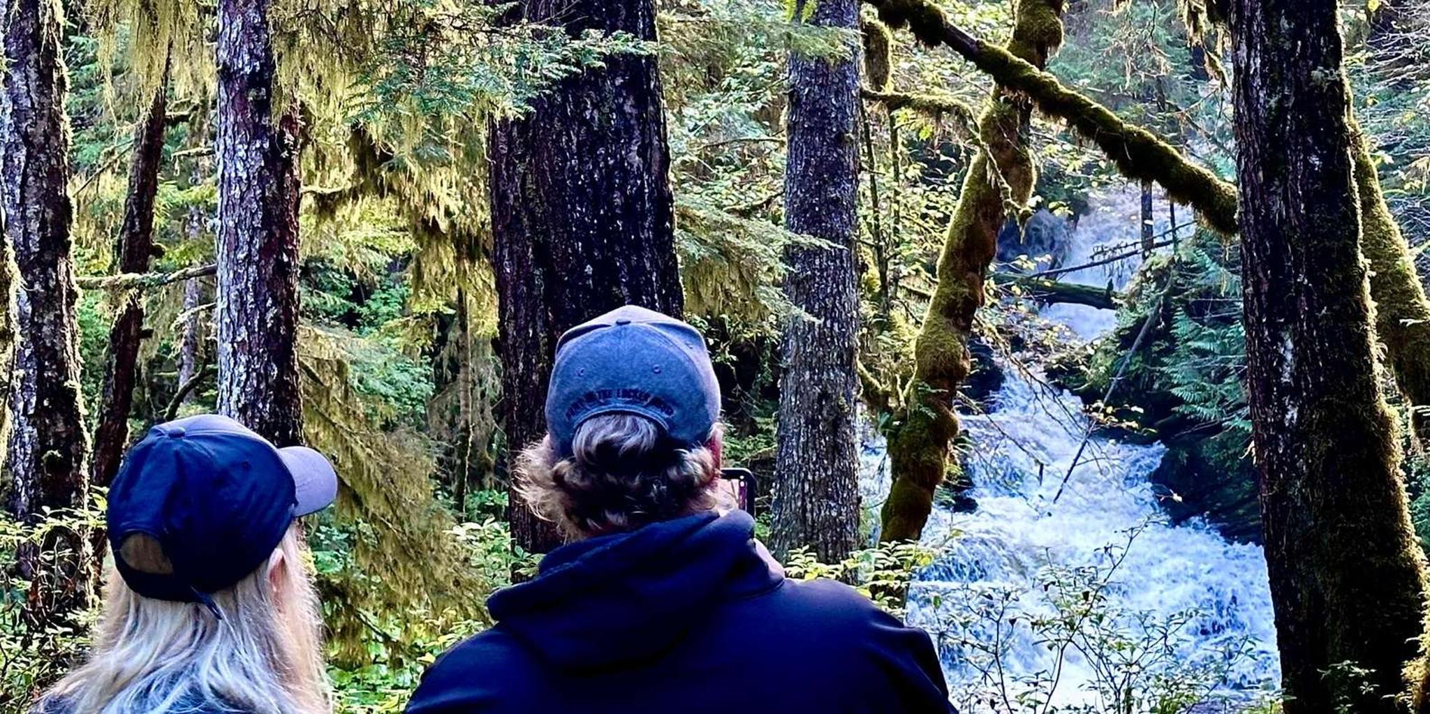 Ketchikan Rainforest Walk and Totem Park Tour - Image 3