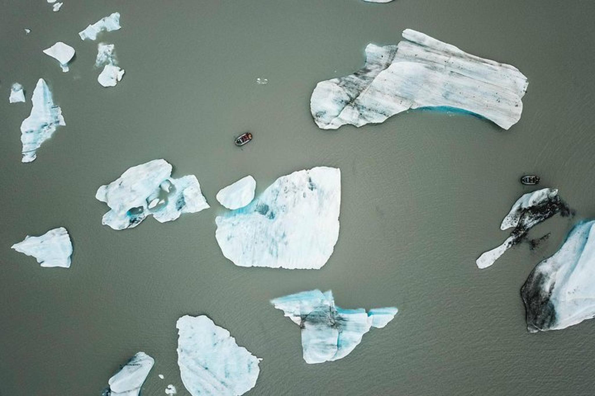 Girdwood Bears, Trains & Icebergs Tour - Image 5