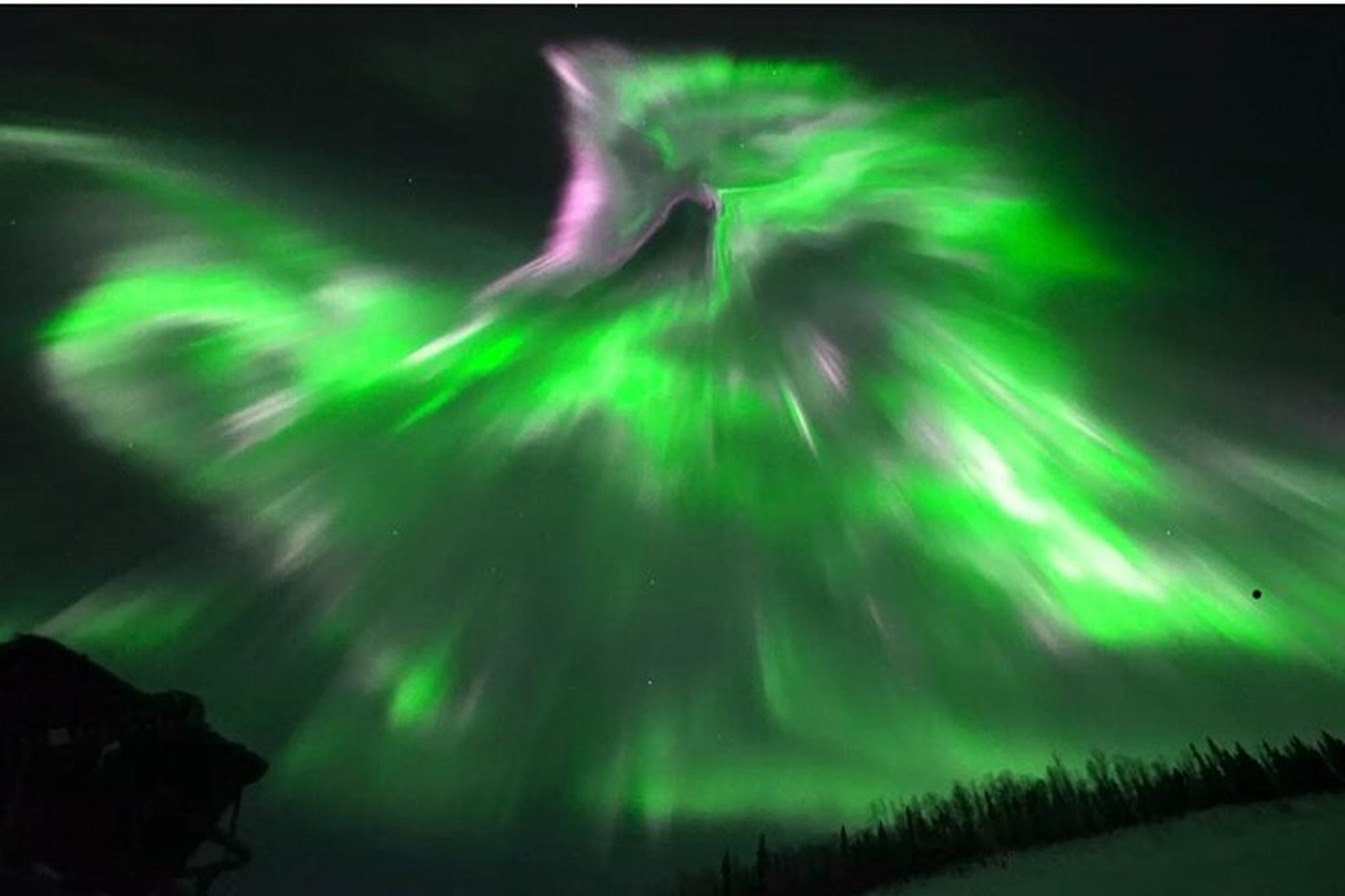 Alaska Arctic Circle and Aurora Viewing Tour - Image 2