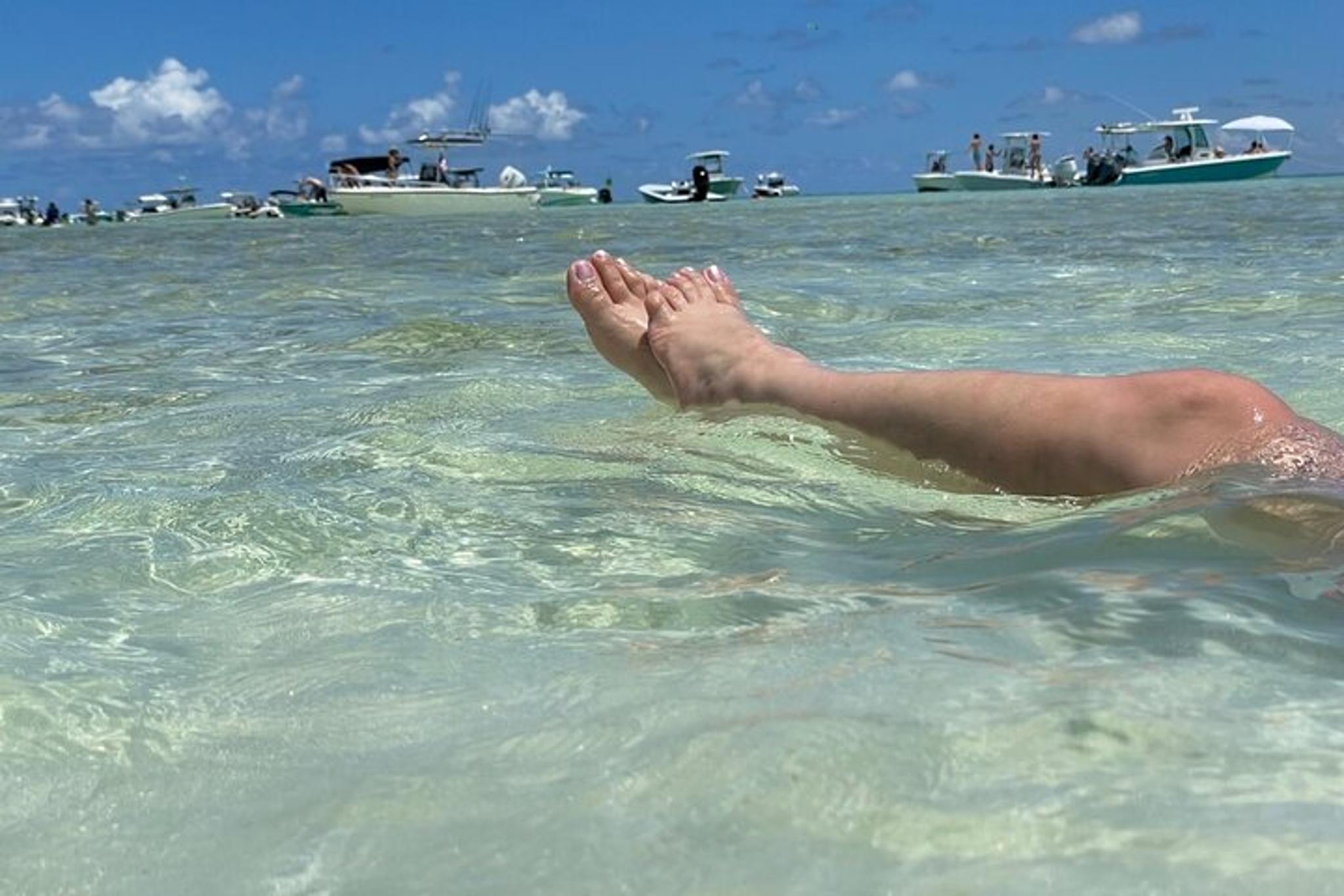 Key Largo Sandbar Excursion - Image 5