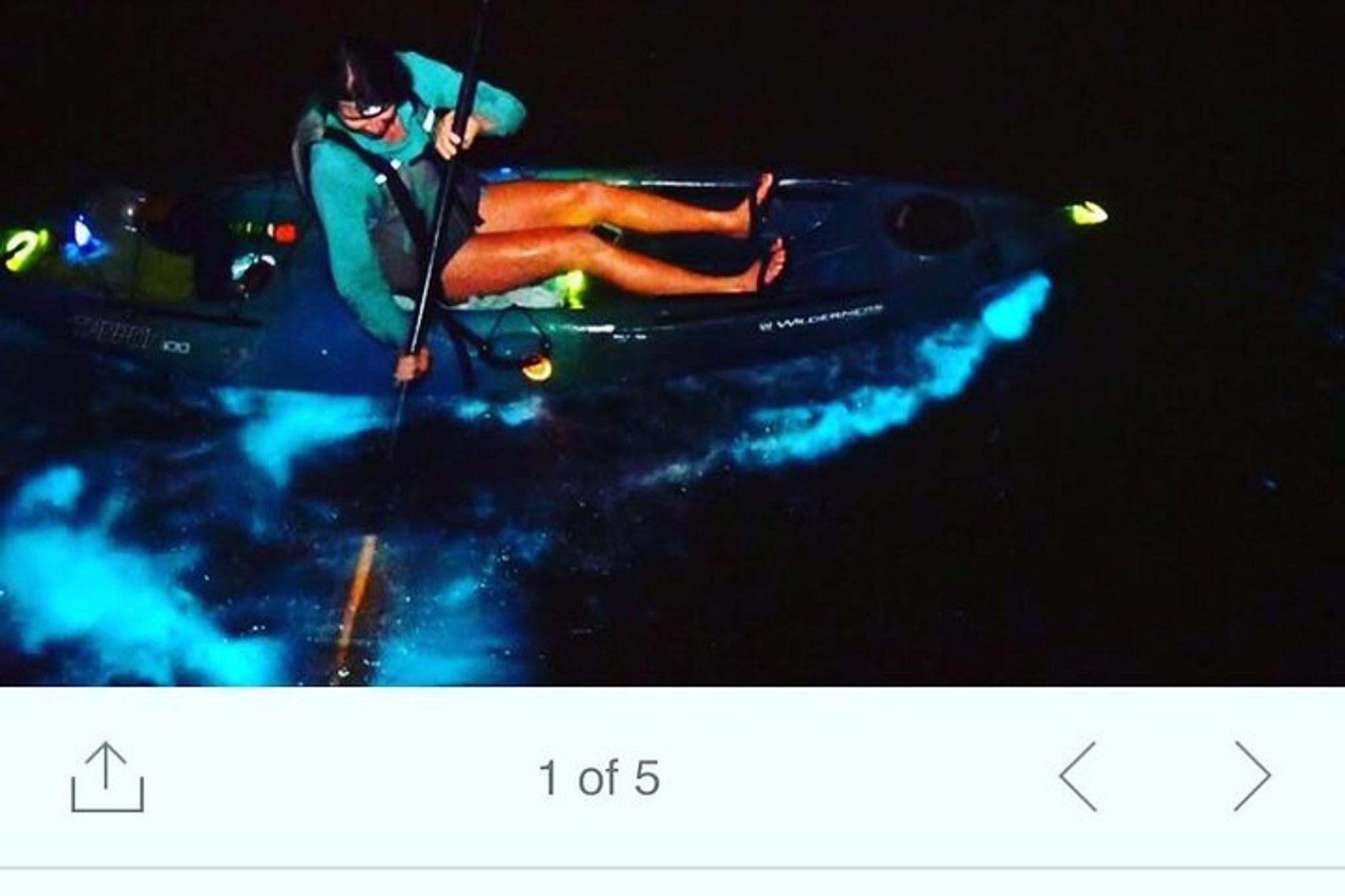 Cocoa Beach Bioluminescent Kayak Tour - Image 3