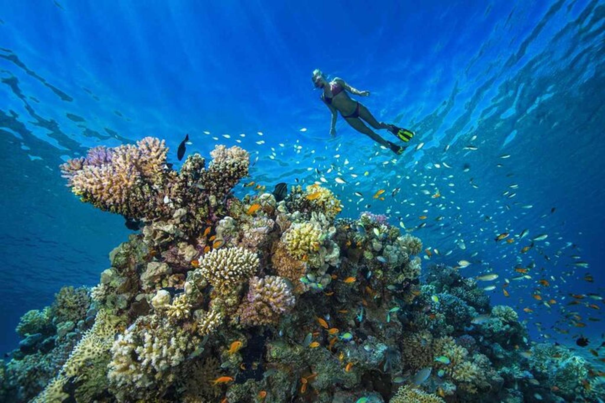 West Maui Self-Guided Electric Bike and Snorkel Explorer - Image 4