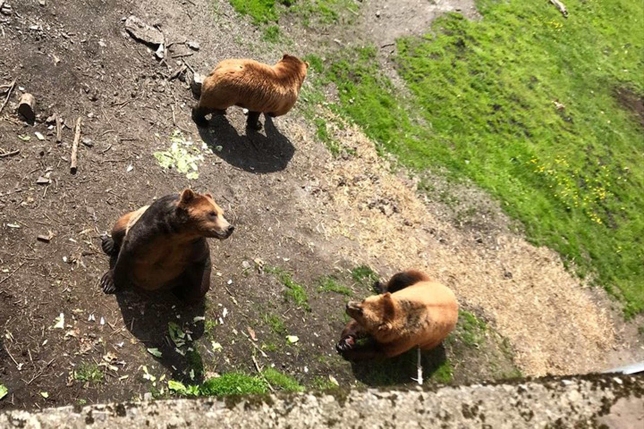 Sitka Private Tour - Image 3