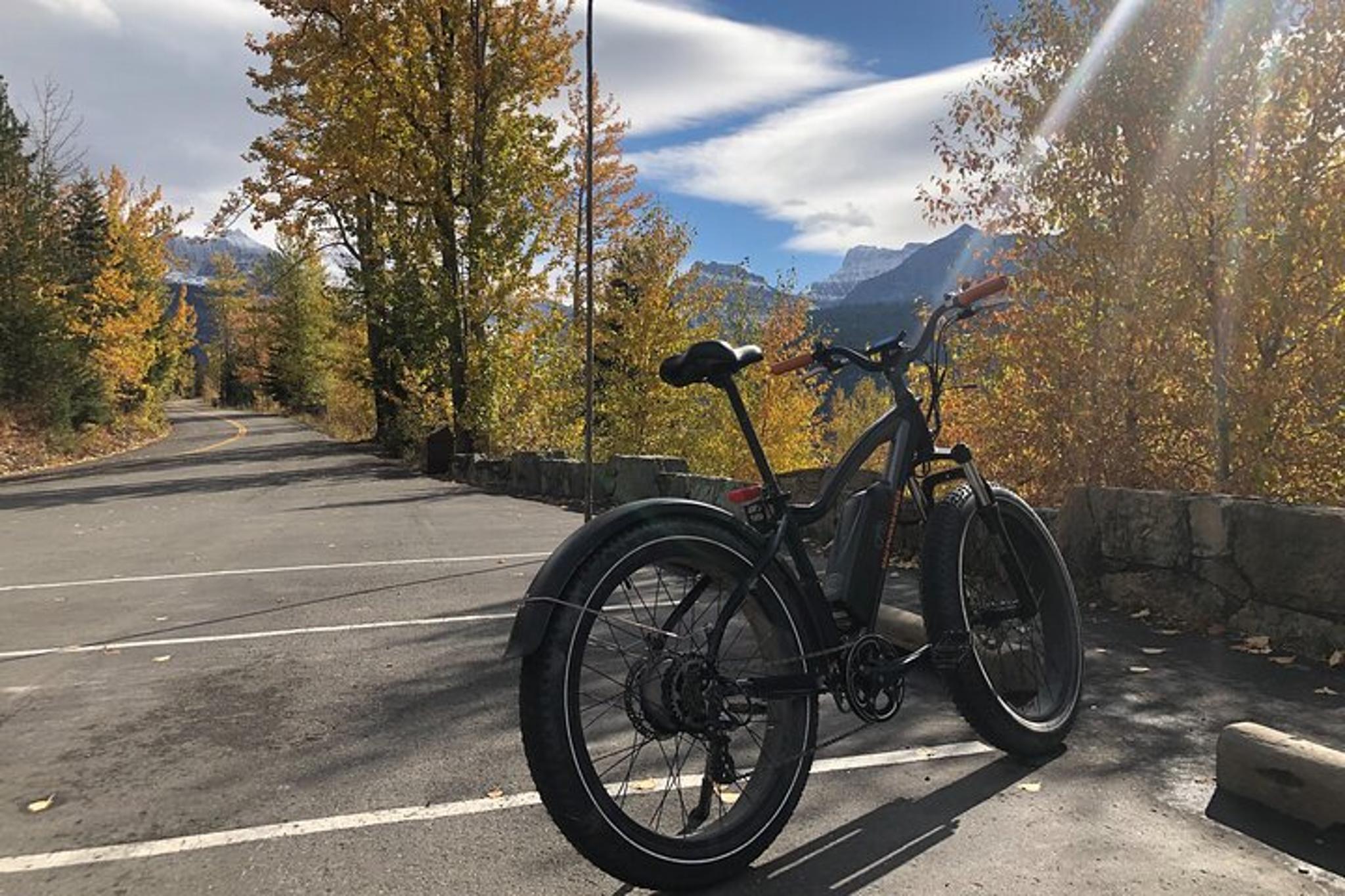 Whitefish E-Bike Shuttle to Going-to-the-Sun Road - Image 2