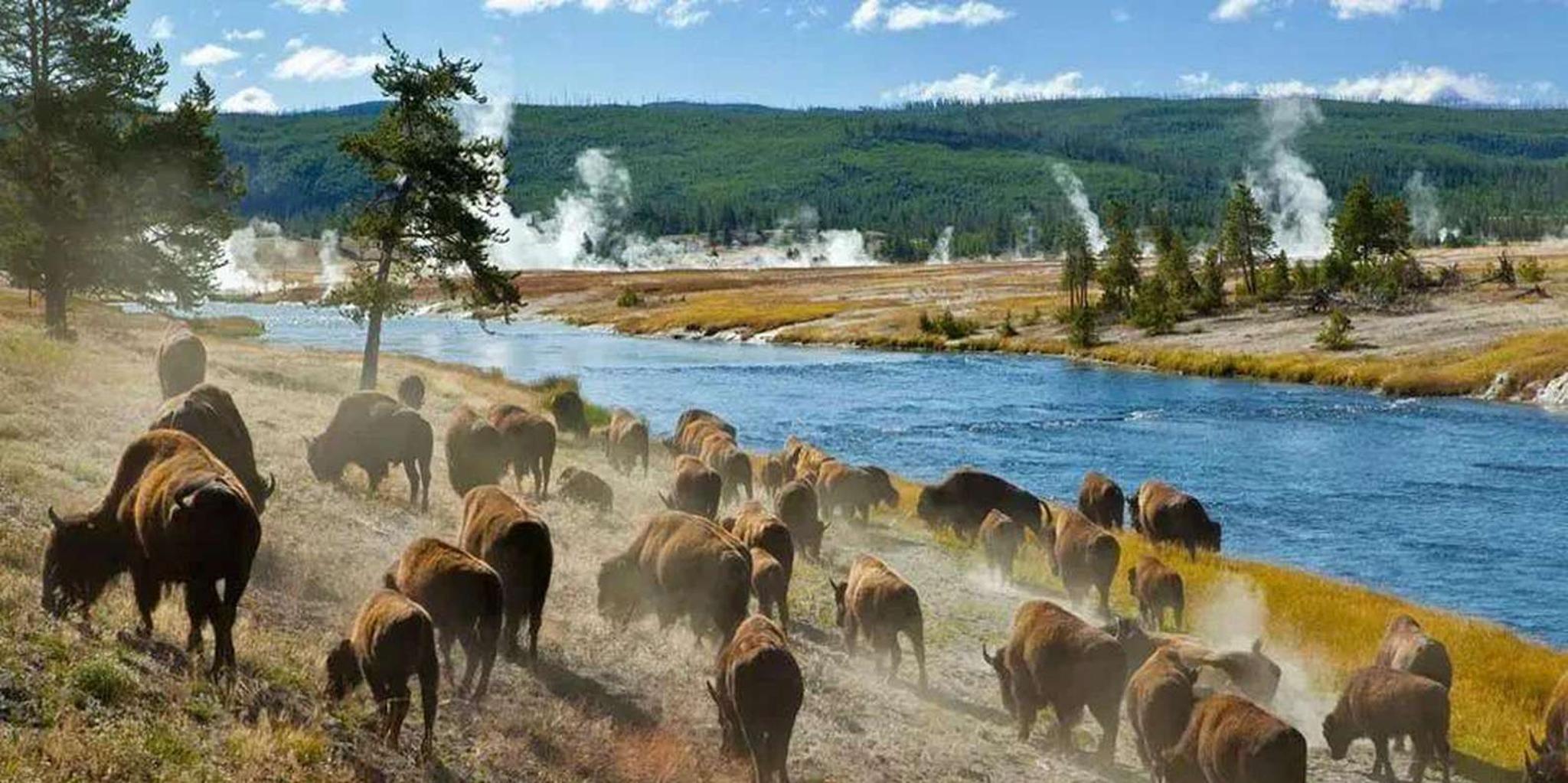 Salt Lake City Yellowstone & Grand Teton Tour 3-Day