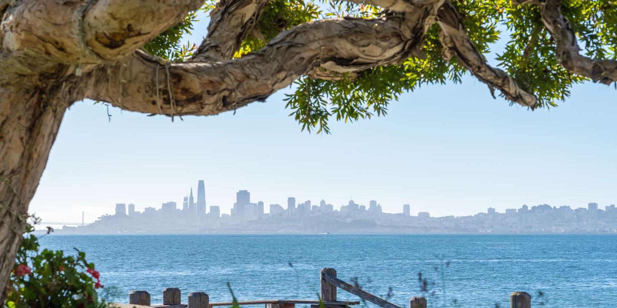 San Francisco Golden Gate Sausalito Muir Woods Tour - Image 2