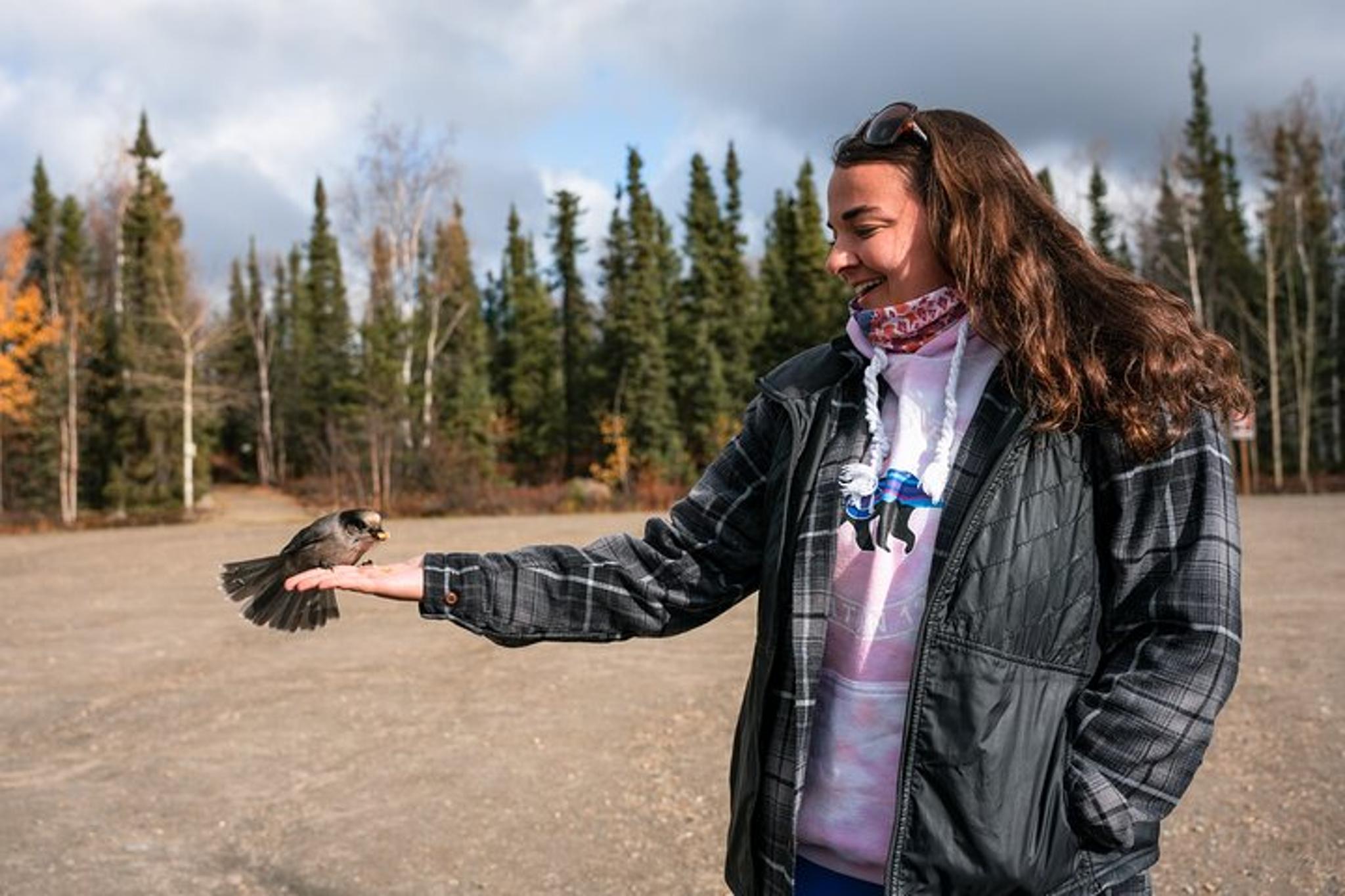 Fairbanks Arctic Circle Experience with Lunch - Image 4