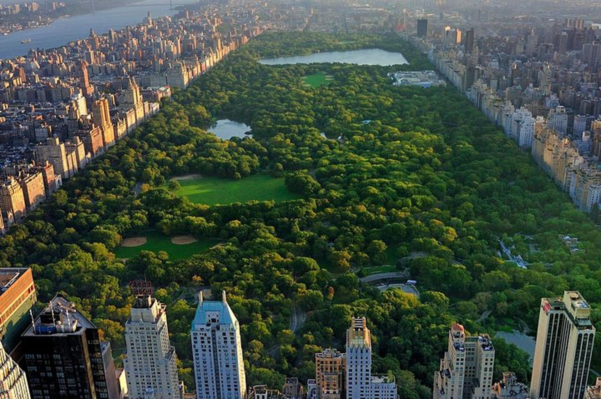 New York Central Park Pedicab Tour