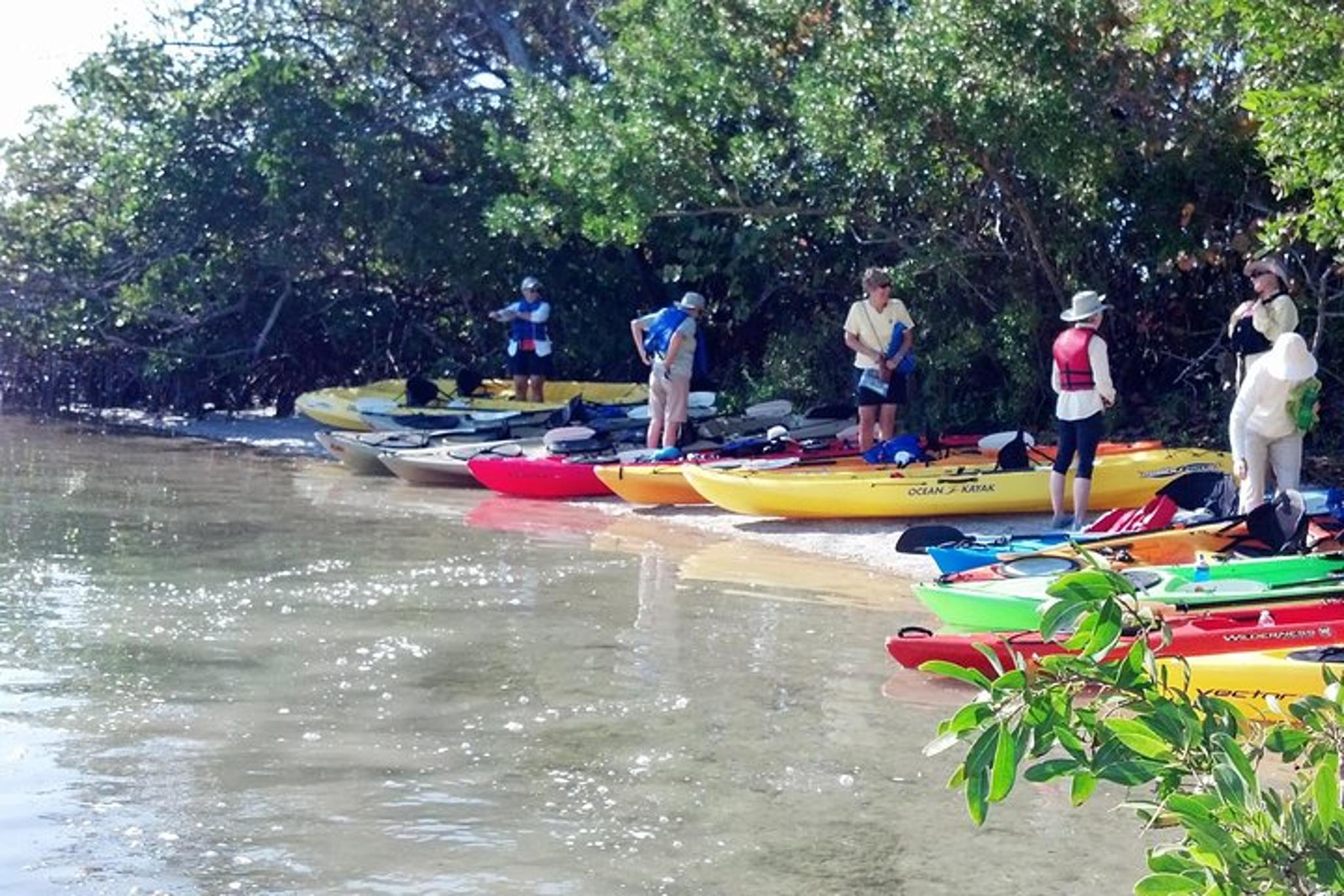 Sarasota Mangrove Tunnel Kayak Tour - Image 4