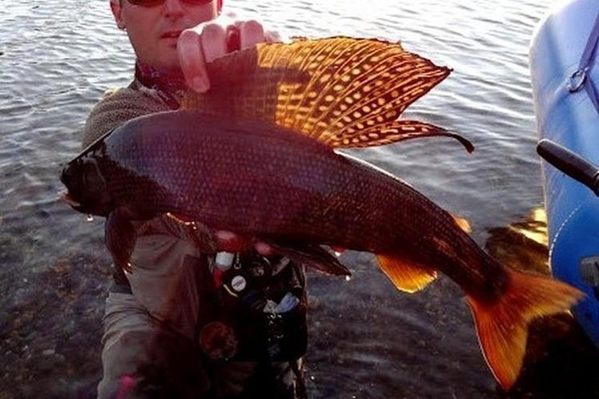 Fairbanks Fishing Excursion Full-Day - Image 3