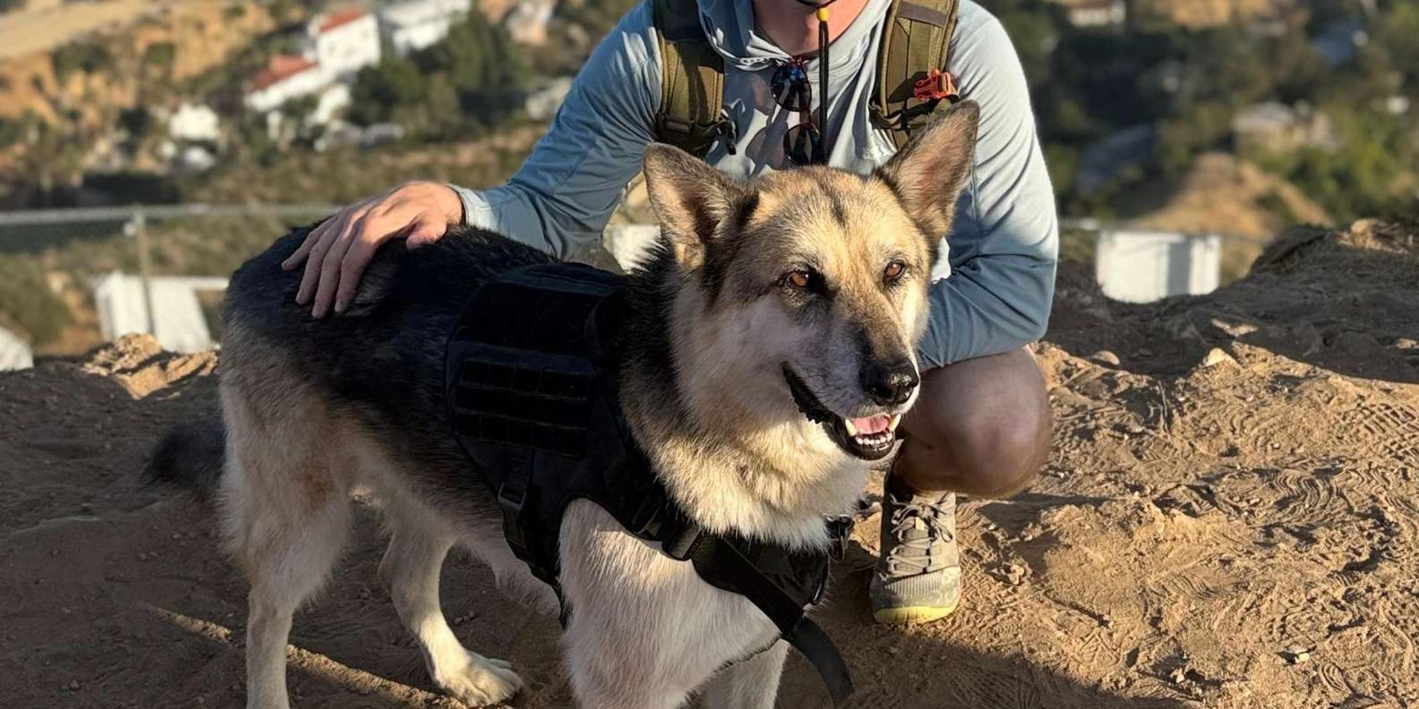 Los Angeles Hollywood Sign Tour with Comedians and Dogs - Image 2