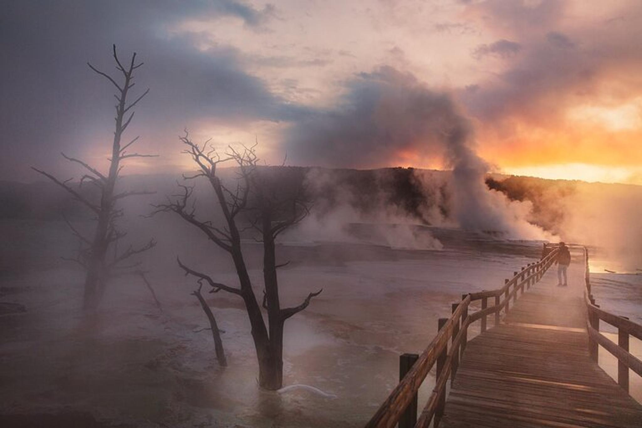 Yellowstone National Park Private Tour - Image 6