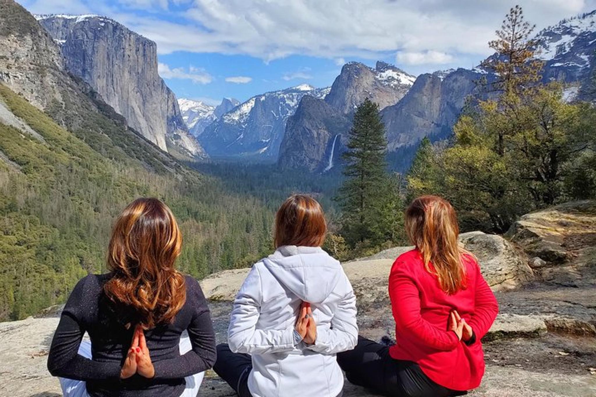 San Francisco Yosemite National Park Private Tour - Image 2