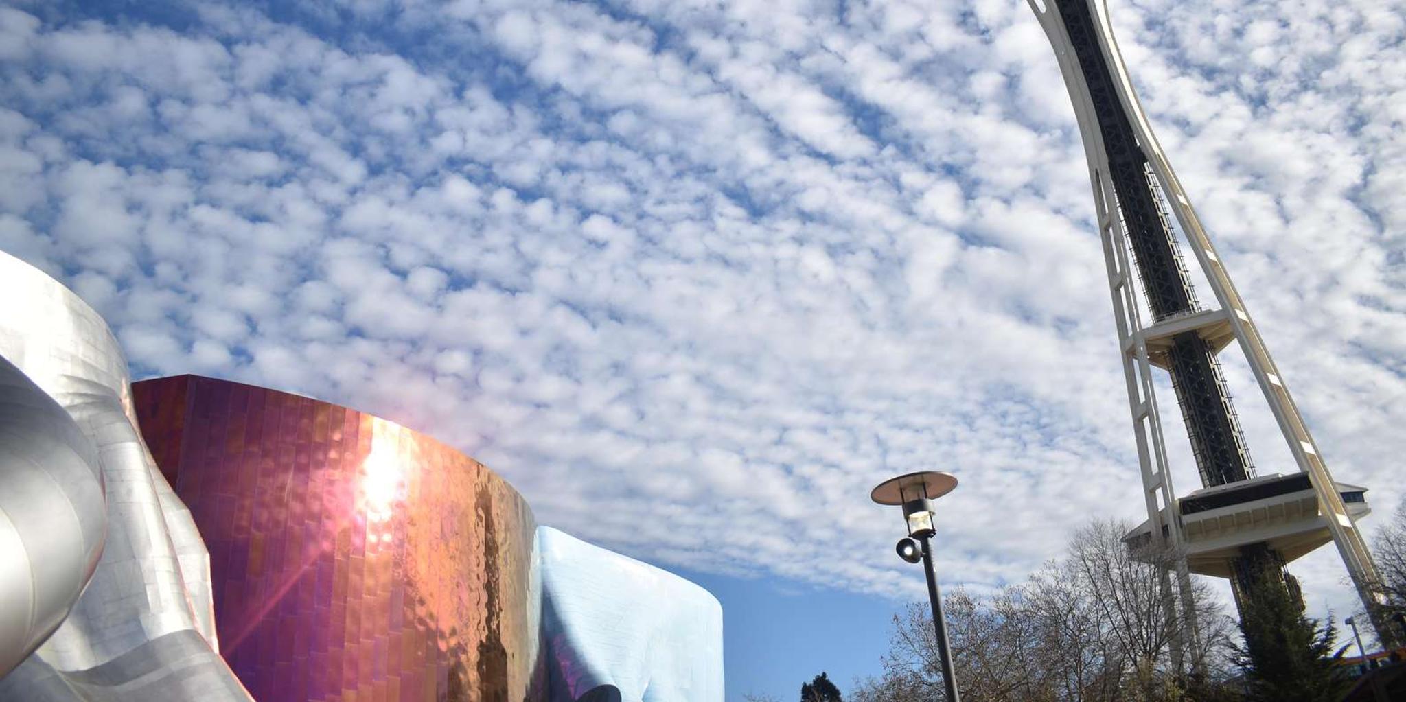 Seattle Space Needle & Center Private Tour - Image 1