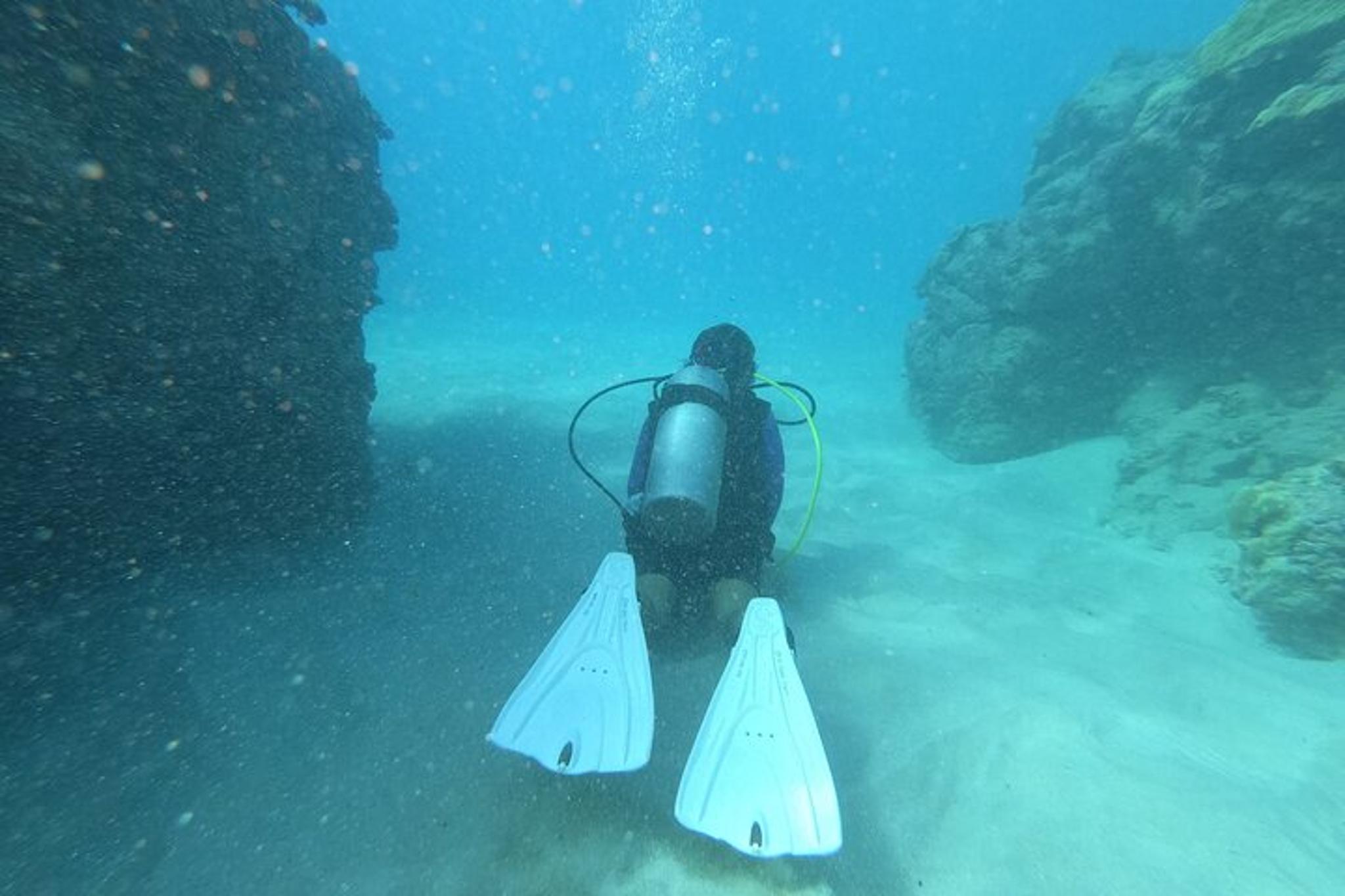 Kona Shore Dive - Image 3