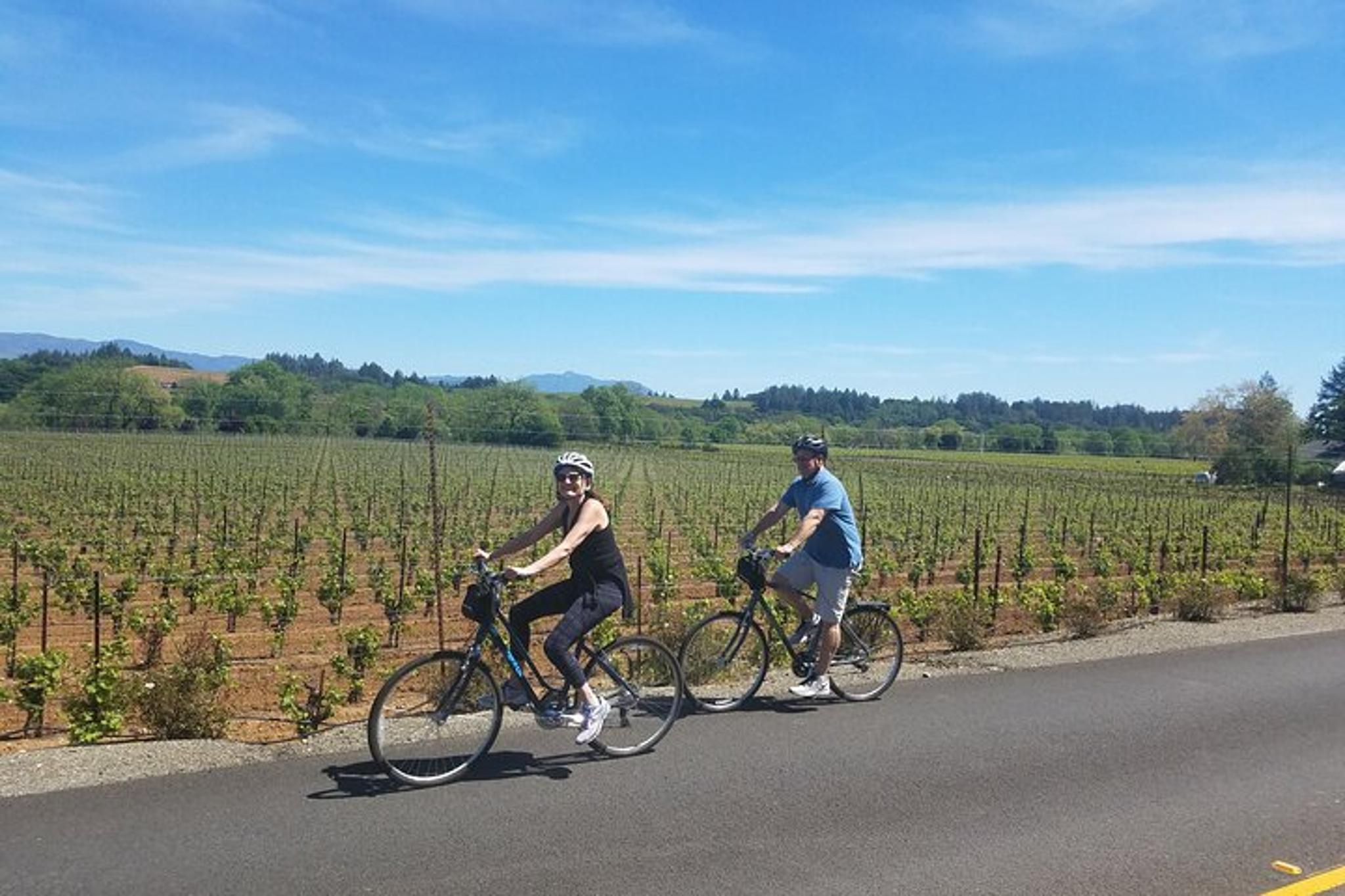 Sonoma Bike Tour with Wine Tastings 4 hr