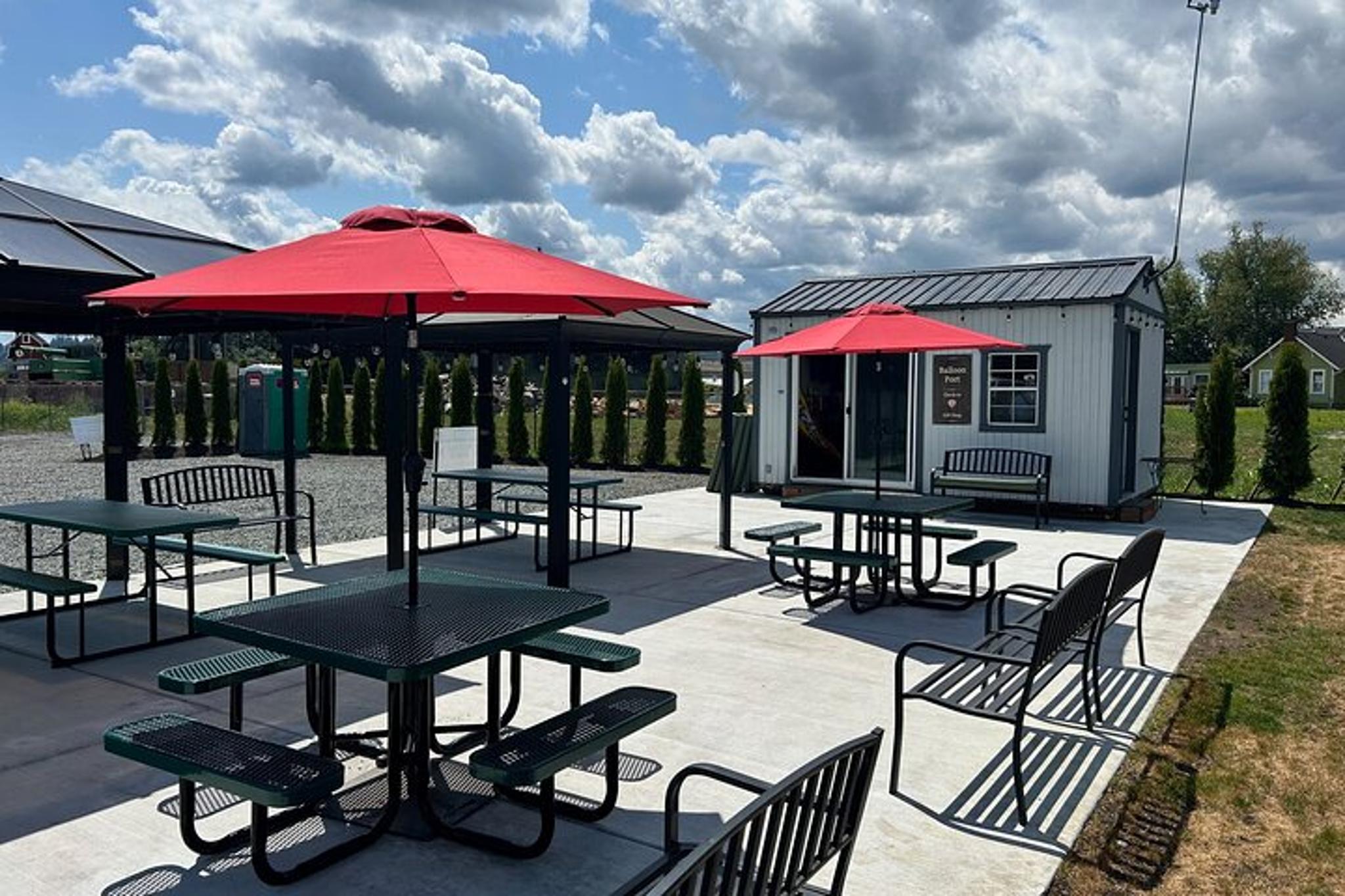 Snohomish Sunrise Hot Air Balloon Ride - Image 6