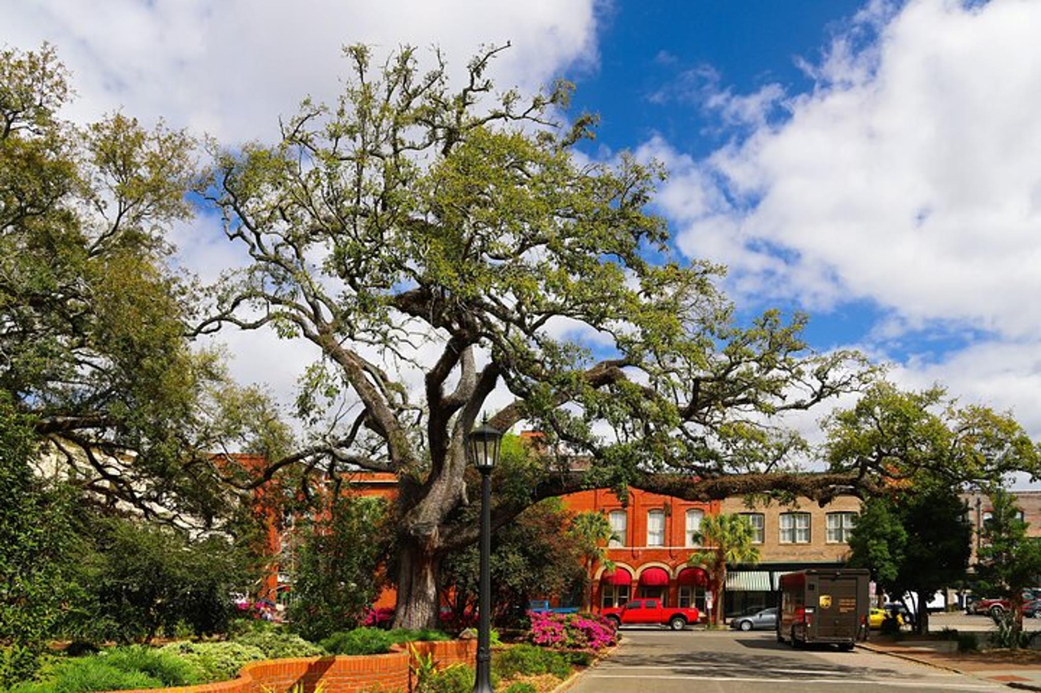 Hilton Head Island Ferry to Savannah - Image 4