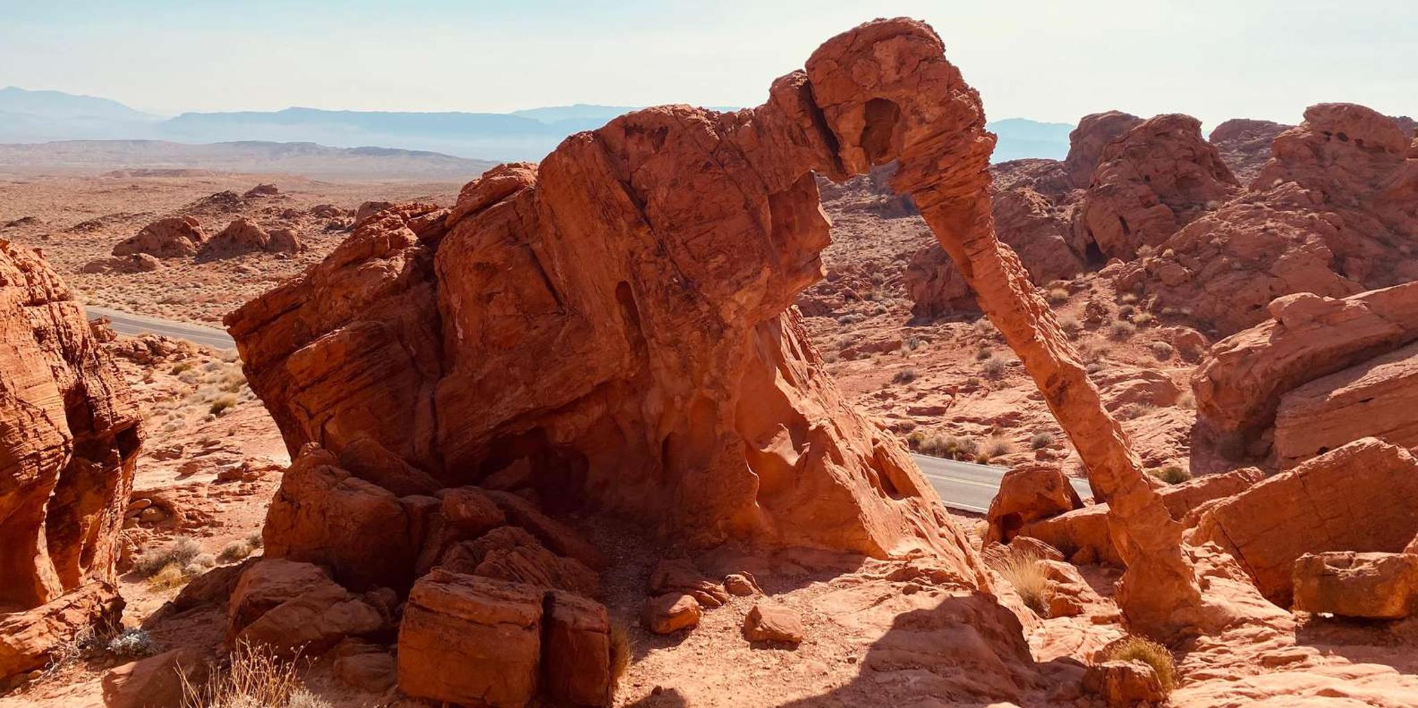 Las Vegas Valley of Fire Small Group Tour 4 hr - Image 2