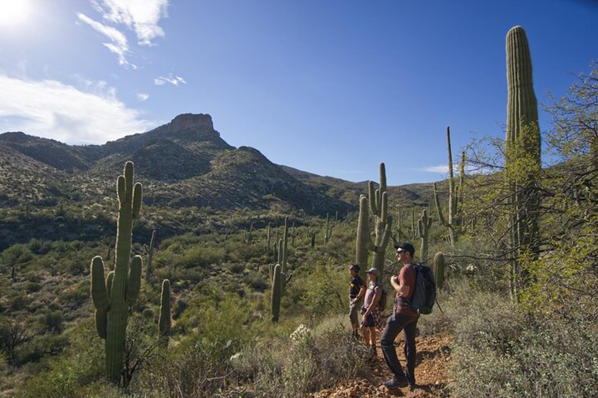 Scottsdale Guided Hike to Tom's Thumb - Image 6
