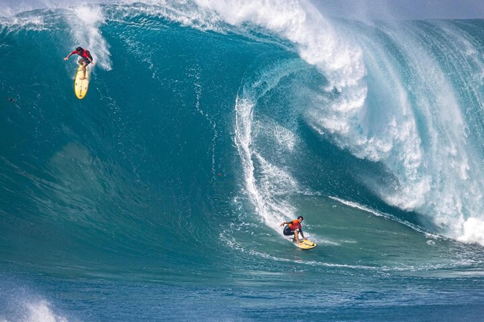 Oahu Swim with Turtles Tour - Image 4