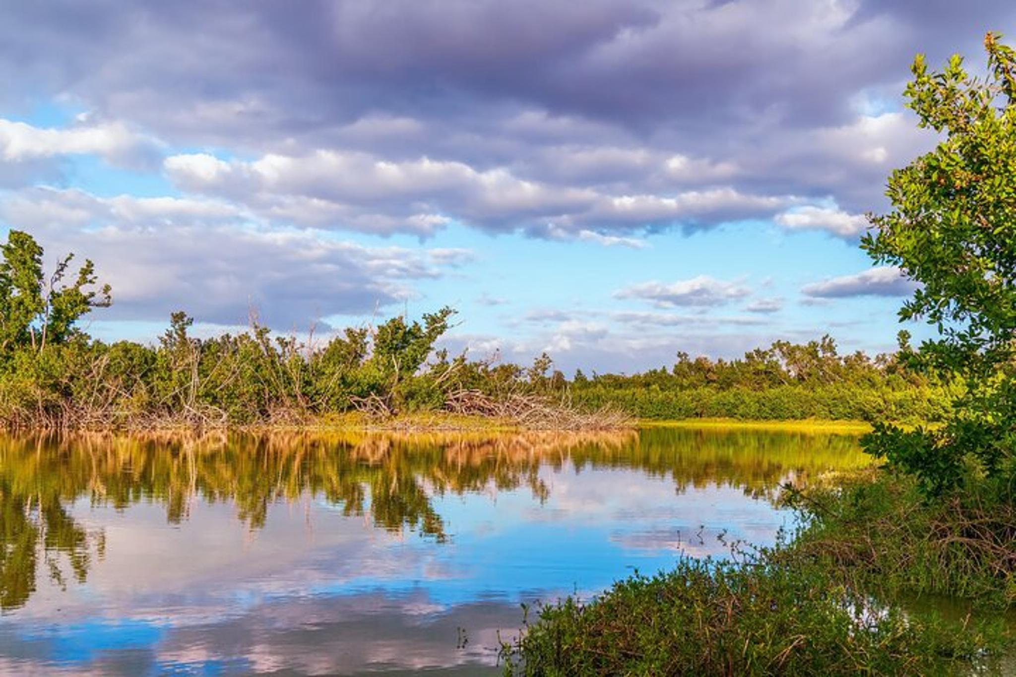 Everglades National Park Self-Guided Audio Tour - Image 5