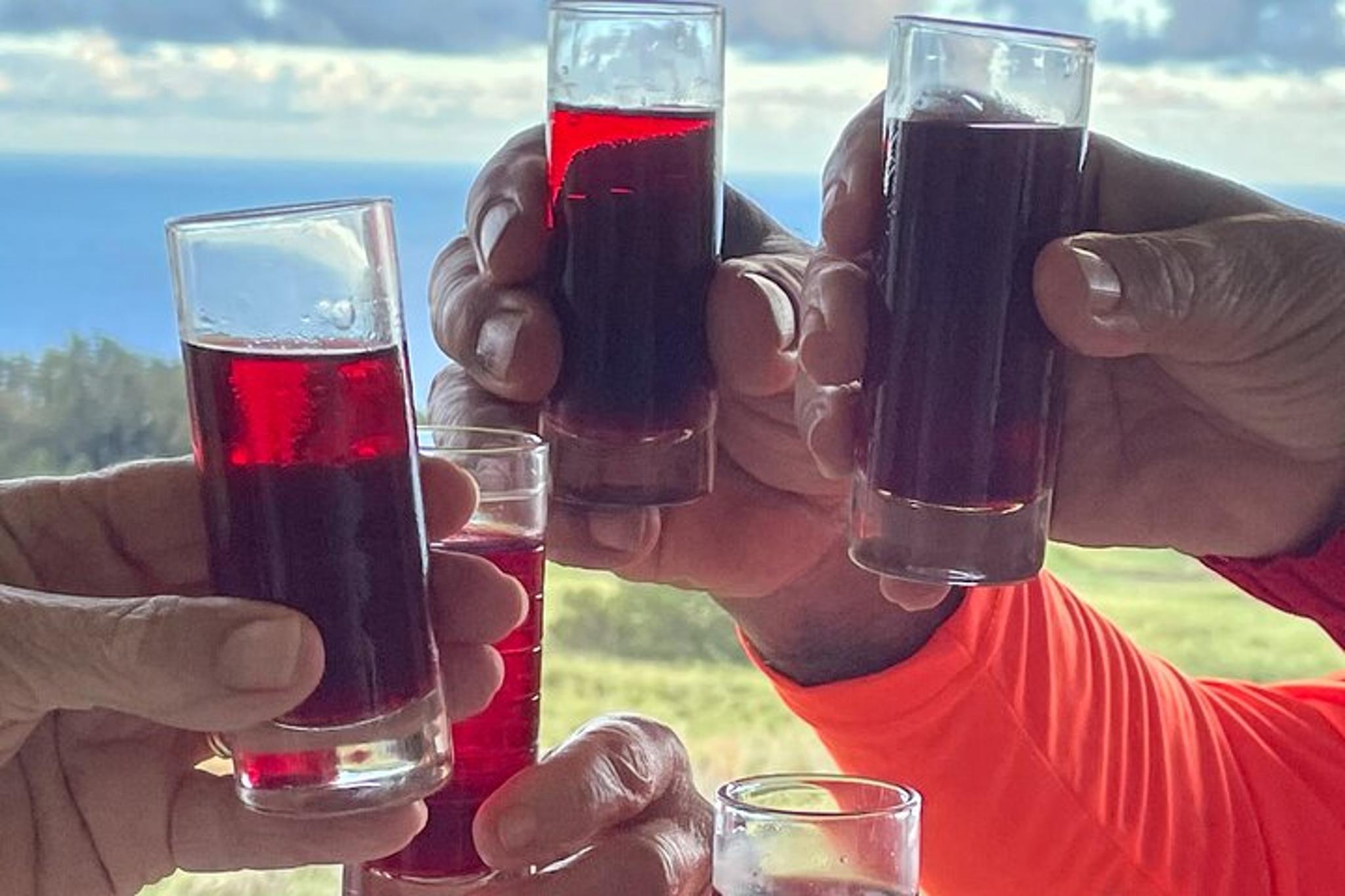 Honokaa Edible Hibiscus Farm Tour 90 Min - Image 3