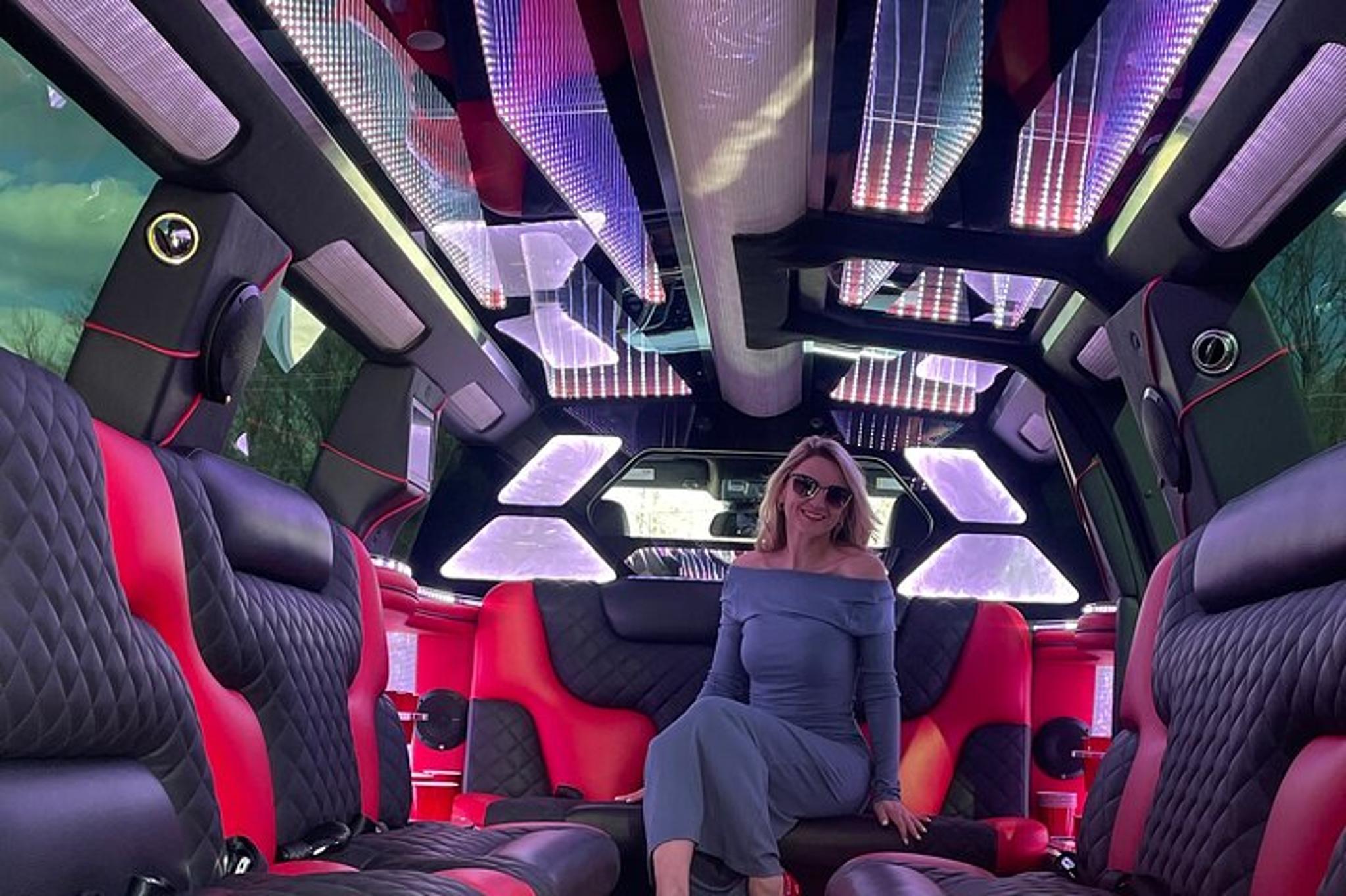 New York Taxi and Limousine Experience - Image 3